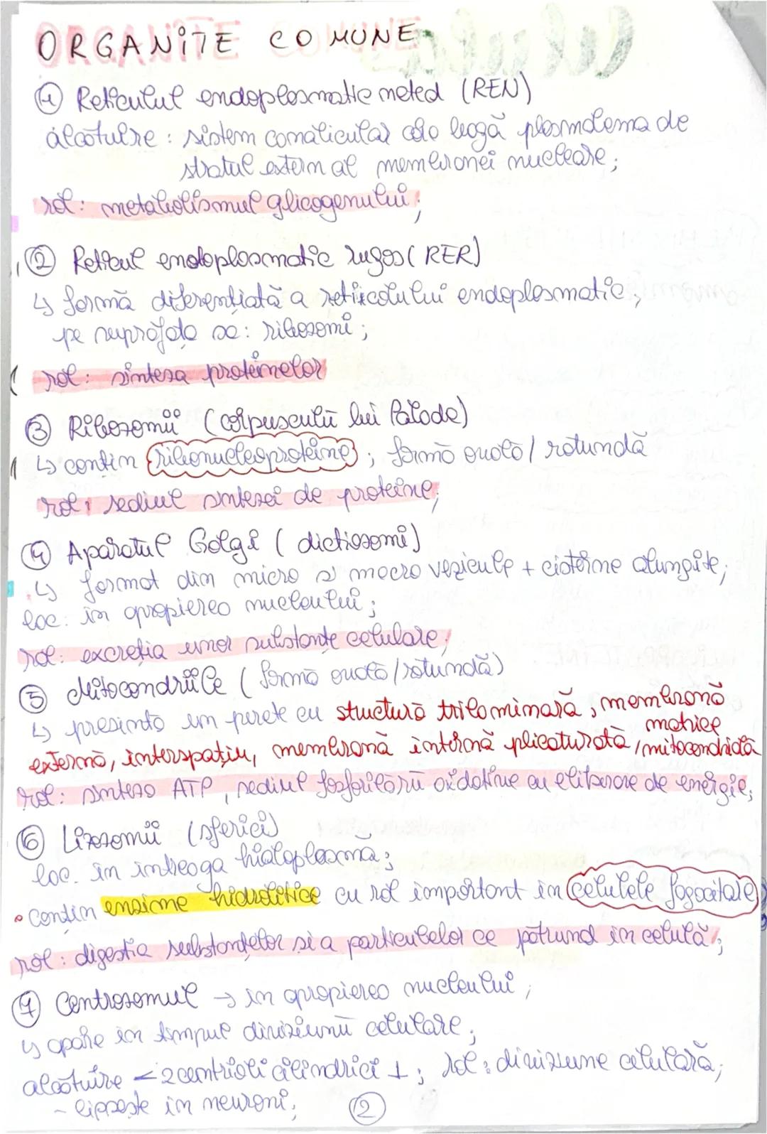 --- OCR Start ---
Celula
lo ionuarie 2025
Celula = unitateo de bază morfifunctională si genetica
a organizaru materiei num;
MEMBRANA + CITOP