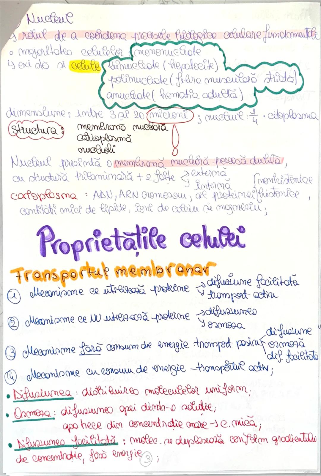 --- OCR Start ---
Celula
lo ionuarie 2025
Celula = unitateo de bază morfifunctională si genetica
a organizaru materiei num;
MEMBRANA + CITOP