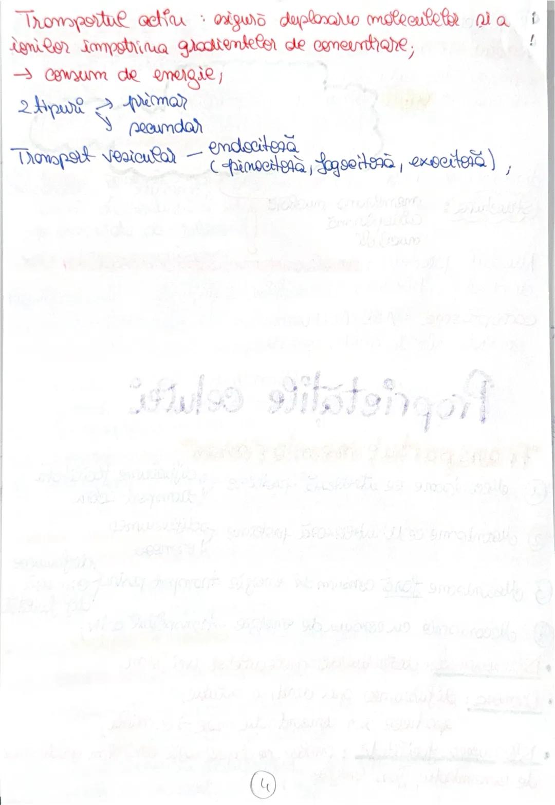 --- OCR Start ---
Celula
lo ionuarie 2025
Celula = unitateo de bază morfifunctională si genetica
a organizaru materiei num;
MEMBRANA + CITOP