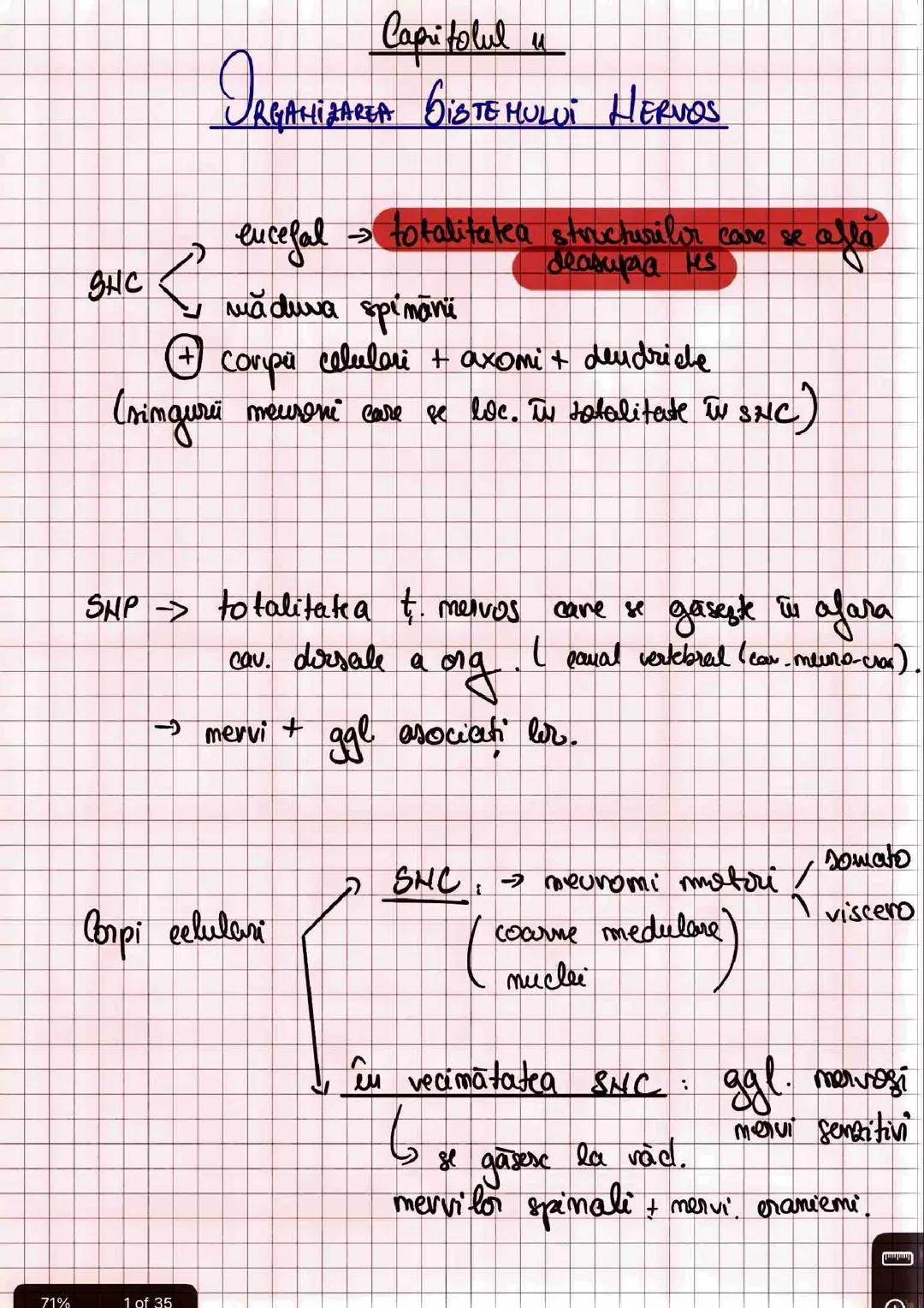 Organizarea sistemului nervos