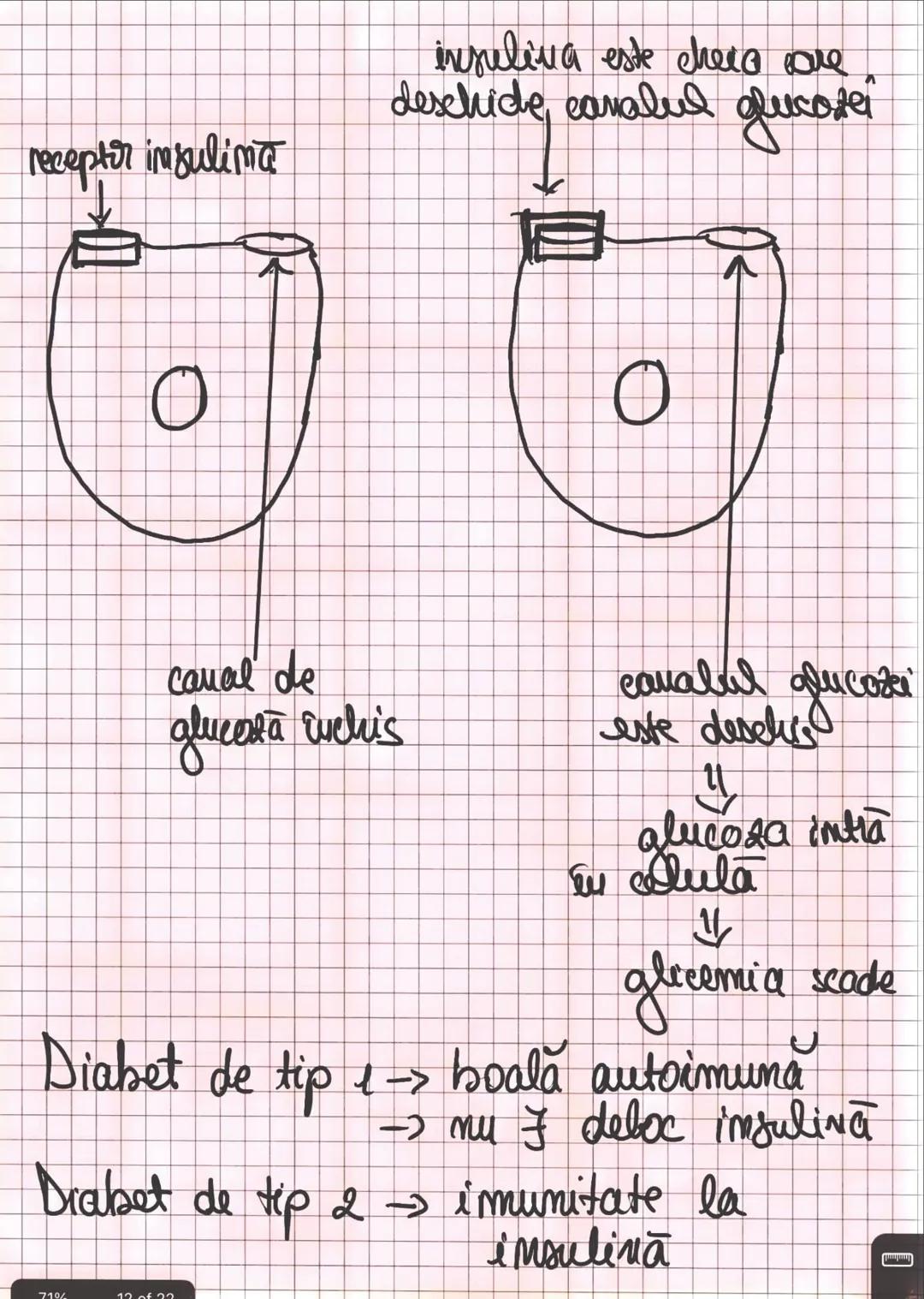 --- OCR Start ---
Capitolul I
INTRODUCERE IN ANATOMIE SI FIZIOLOGIE
Amatomia
↑
mivelurile de organizare
a corpului uman
fu
Fiziologia
↓
modu