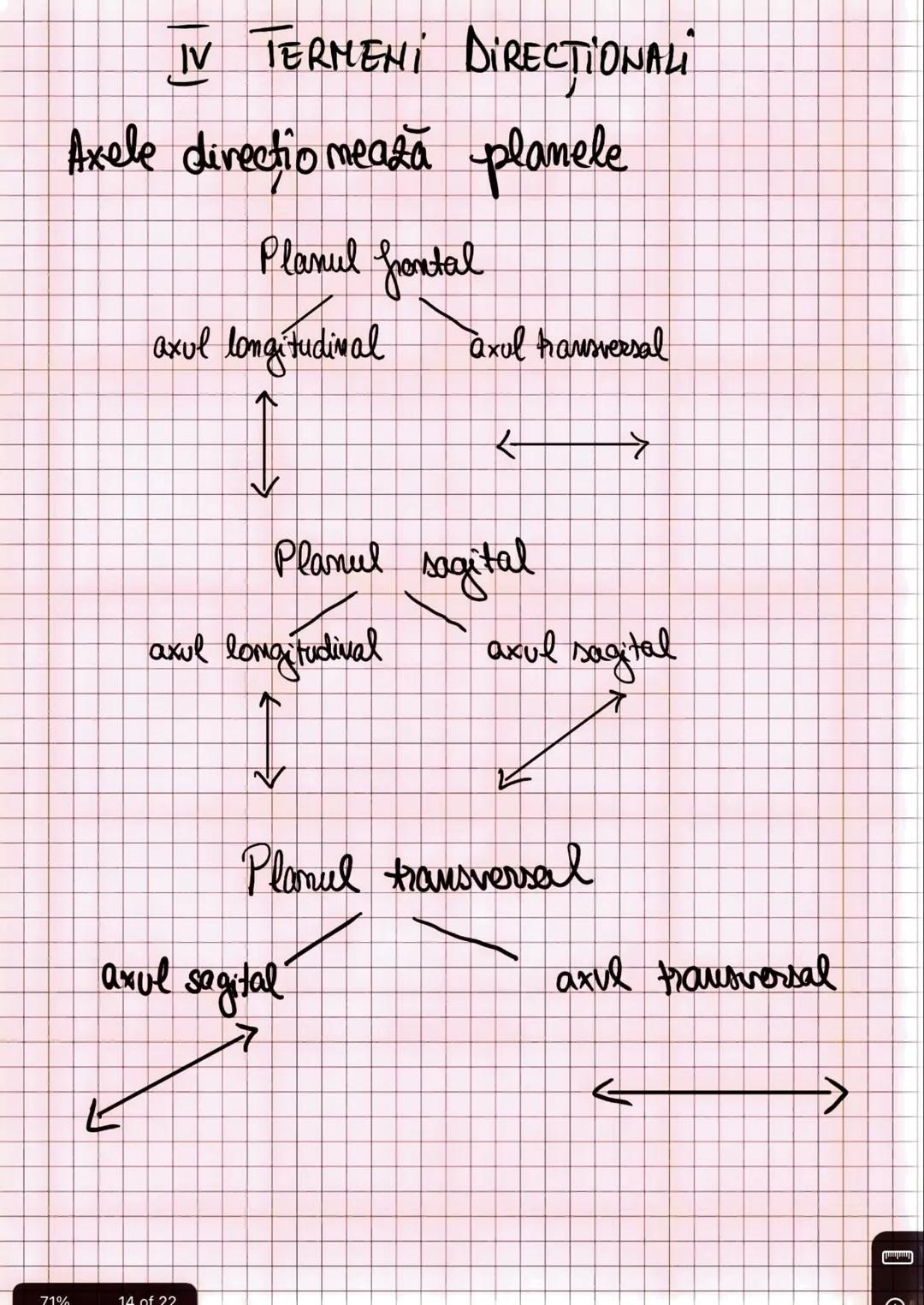 --- OCR Start ---
Capitolul I
INTRODUCERE IN ANATOMIE SI FIZIOLOGIE
Amatomia
↑
mivelurile de organizare
a corpului uman
fu
Fiziologia
↓
modu