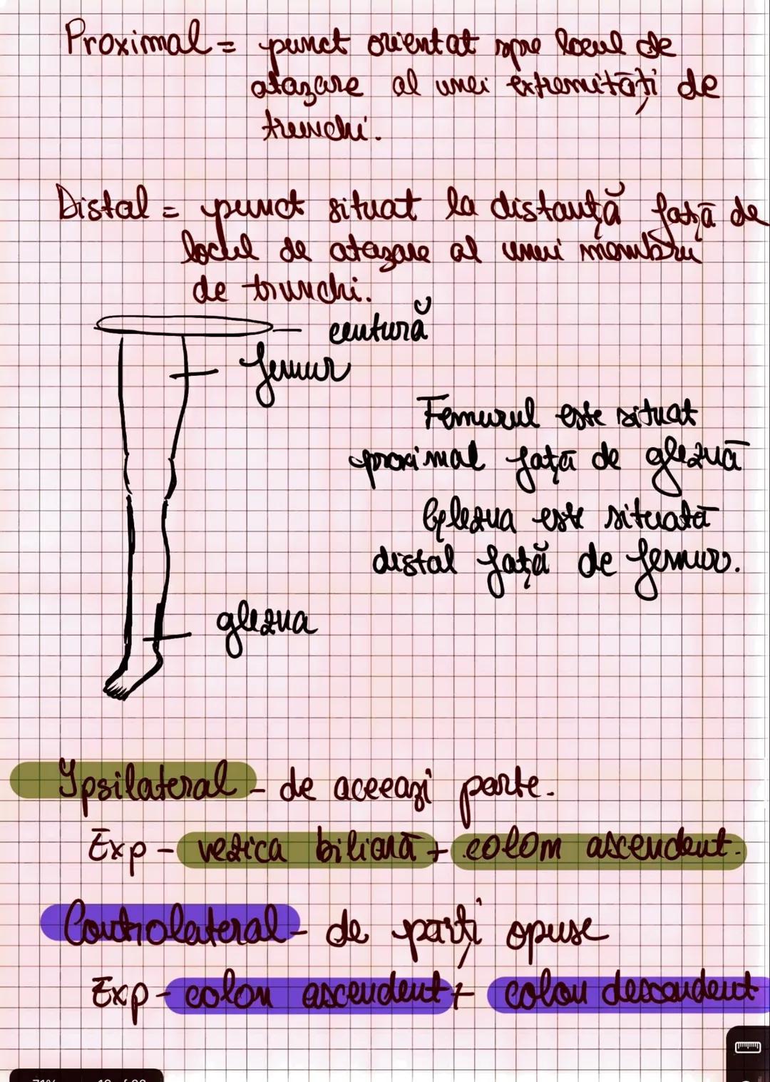 --- OCR Start ---
Capitolul I
INTRODUCERE IN ANATOMIE SI FIZIOLOGIE
Amatomia
↑
mivelurile de organizare
a corpului uman
fu
Fiziologia
↓
modu