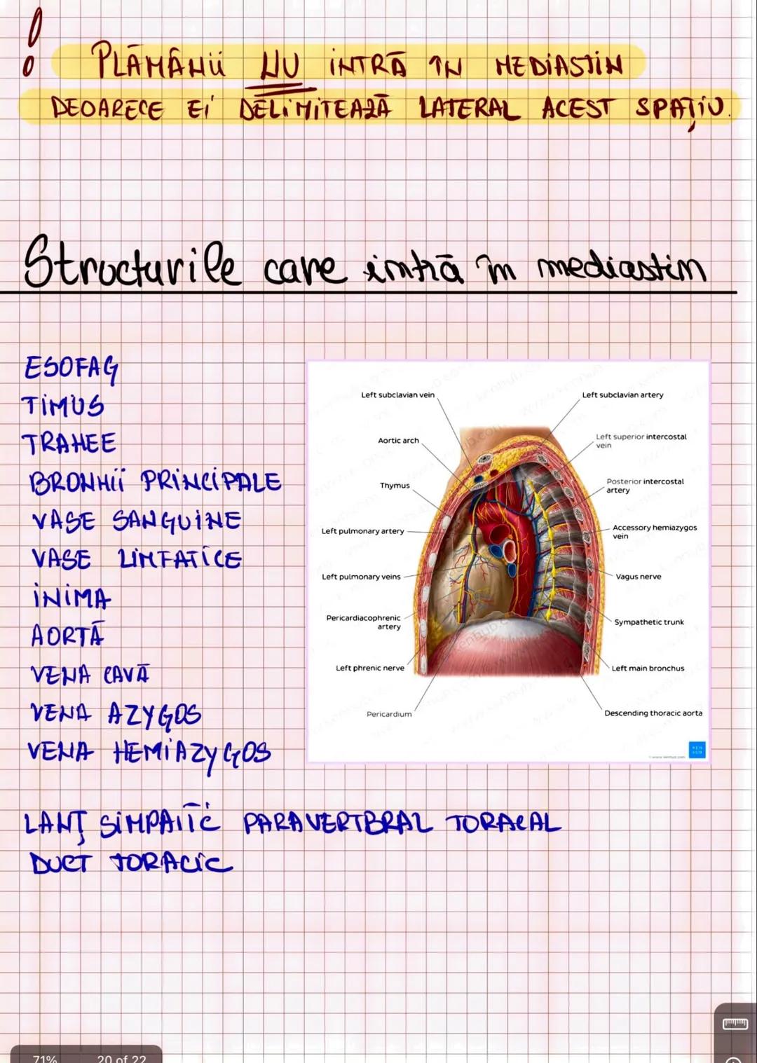 --- OCR Start ---
Capitolul I
INTRODUCERE IN ANATOMIE SI FIZIOLOGIE
Amatomia
↑
mivelurile de organizare
a corpului uman
fu
Fiziologia
↓
modu