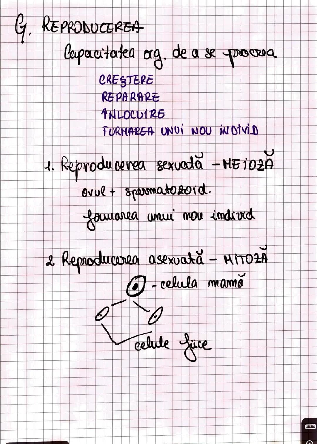 --- OCR Start ---
Capitolul I
INTRODUCERE IN ANATOMIE SI FIZIOLOGIE
Amatomia
↑
mivelurile de organizare
a corpului uman
fu
Fiziologia
↓
modu