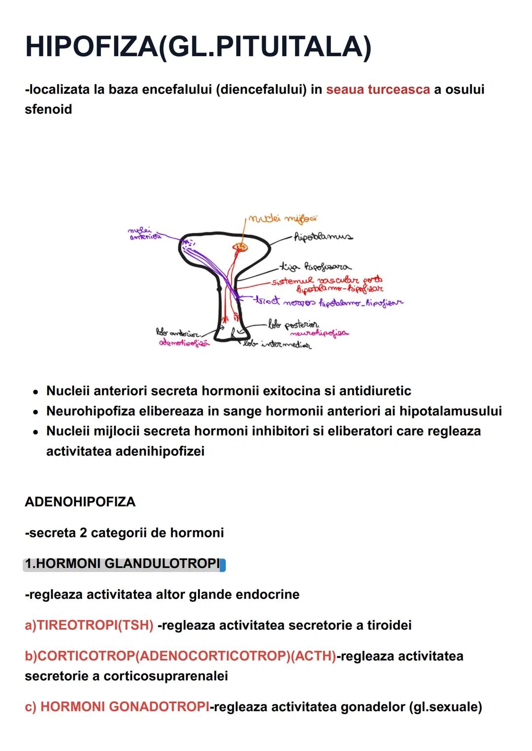 # SISTEMUL ENDOCRIN
* este alcatuit din organe cu secretie interna =glande endocrine
* glandele endocrine secreta substante chimice act
