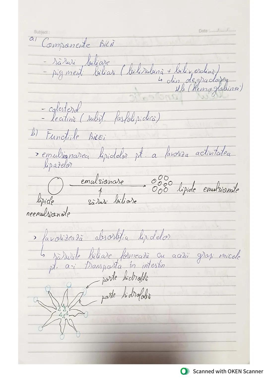 --- OCR Start ---
Subject:
Functü de nutritie
Date :.......................
Se realizează cu participarea sistemelor :
1) S. DIGESTIV
2) S.
