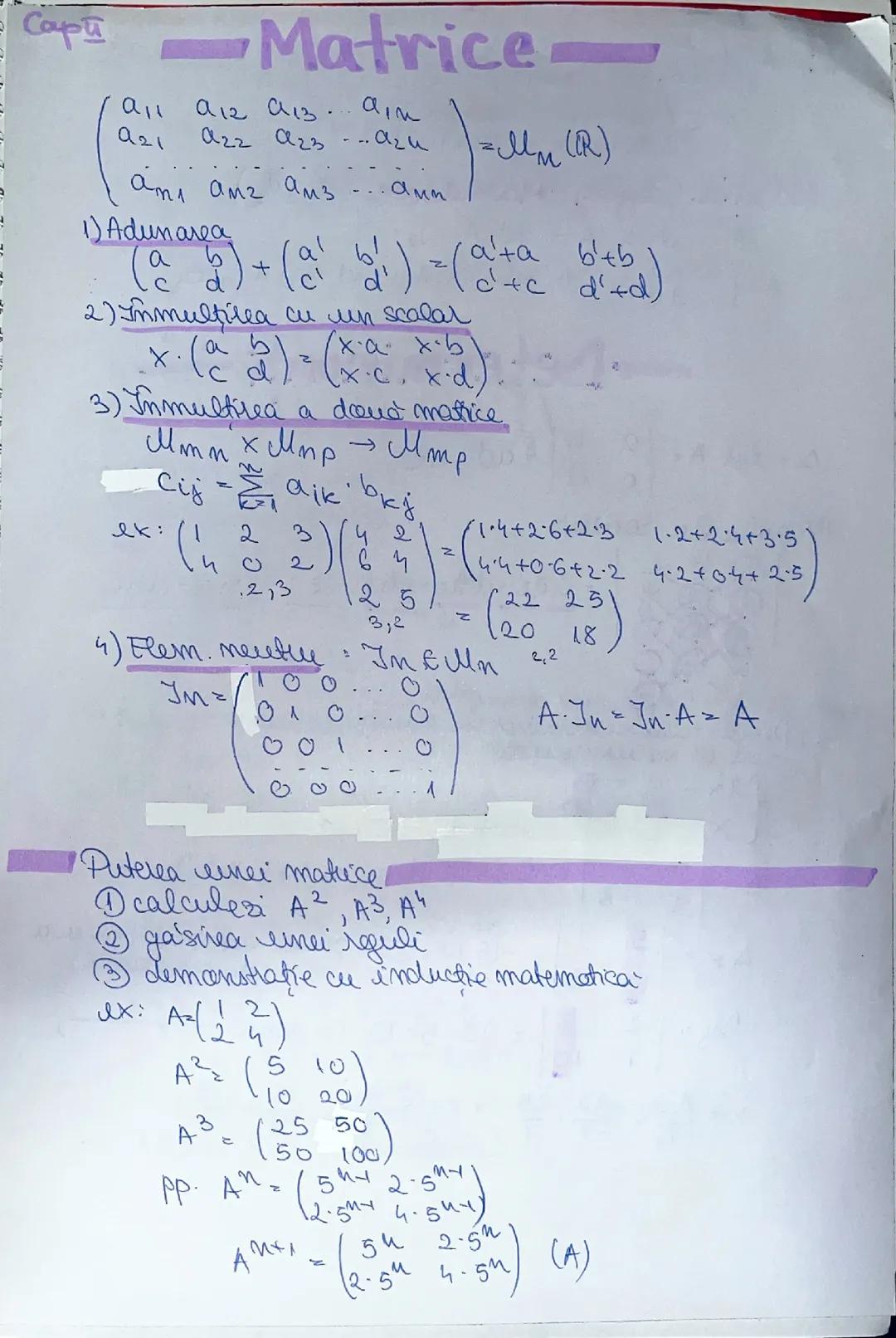 Matrici si determinanti