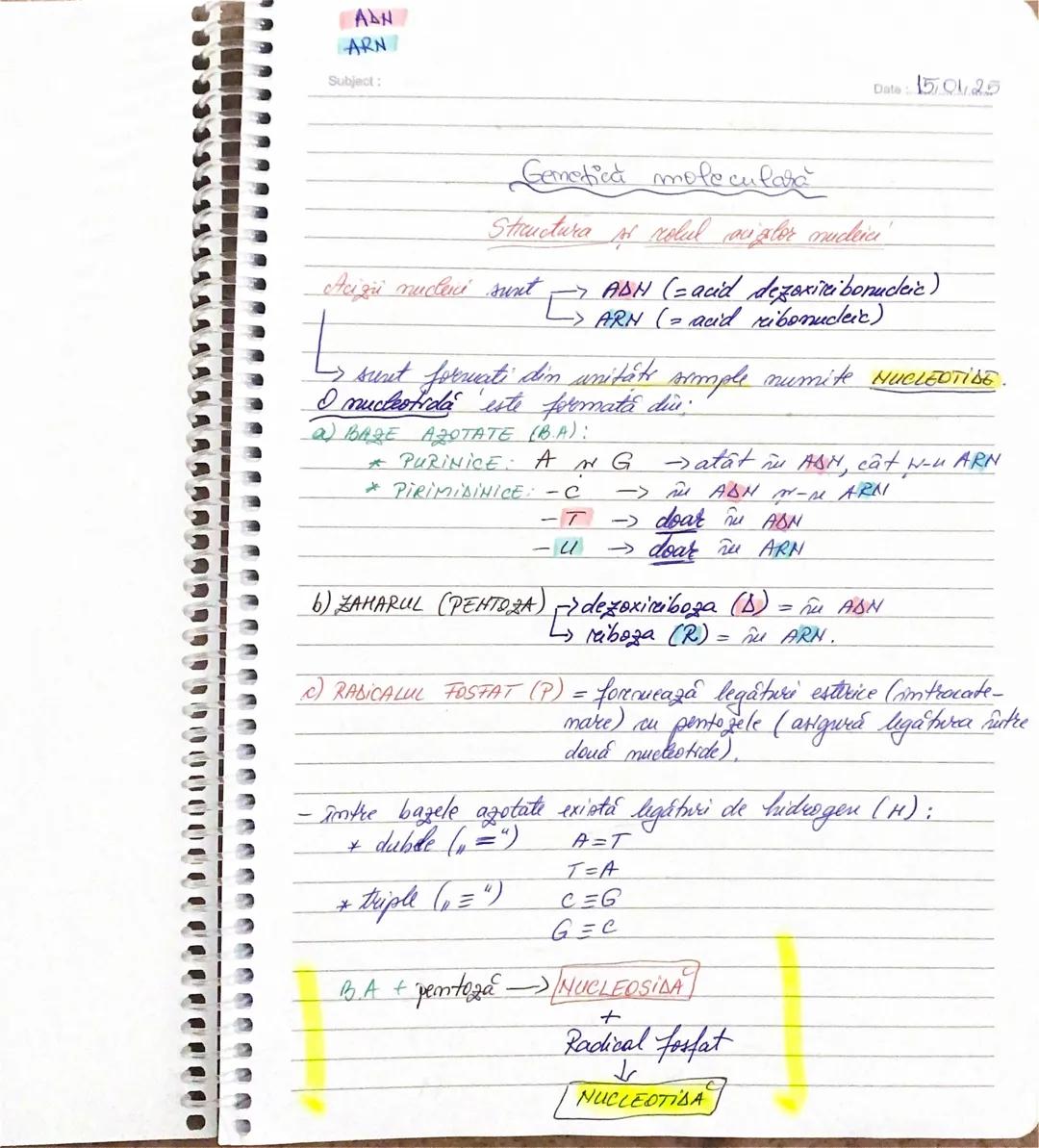 AAN
ARN
Subject:
Date: 15.01.25
Gemetică moleculară
Structura si rolul aigler nucleici
Acizii nucleri sunt
L
→ADN (=acid dezoxiribonuclei