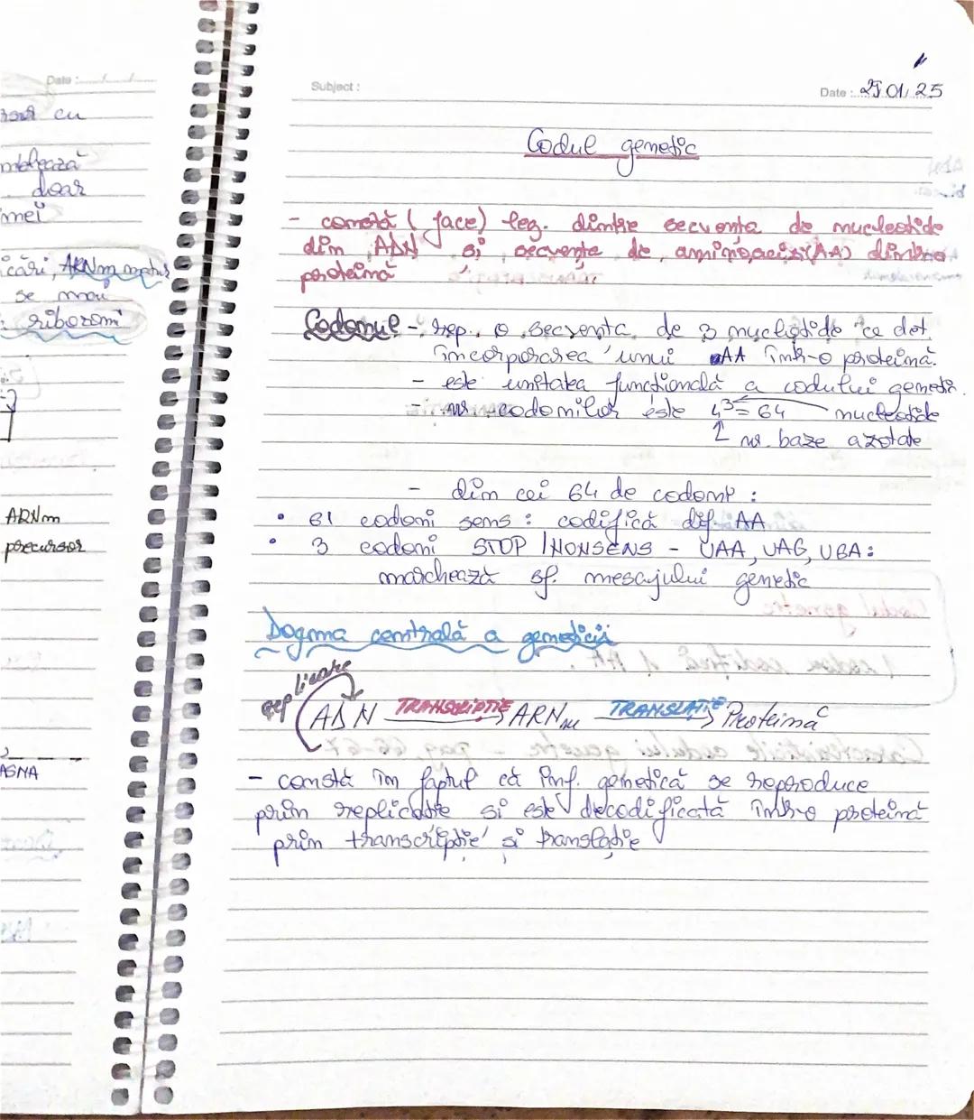 AAN
ARN
Subject:
Date: 15.01.25
Gemetică moleculară
Structura si rolul aigler nucleici
Acizii nucleri sunt
L
→ADN (=acid dezoxiribonuclei