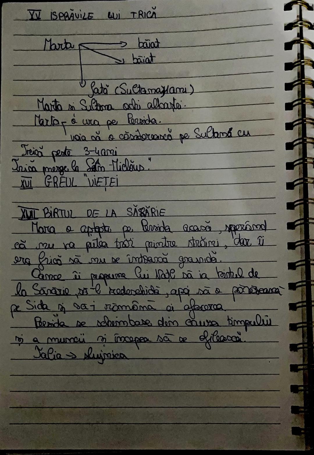 LIMBA ŞI LITERATURA ROMÂNĂ
Mara" de Jean Slavici ( capitolul Ⅰ)
I,, Sărăcuți mamei "
Mara-seste personaj principal.
putea
vădură.
→ au doi c