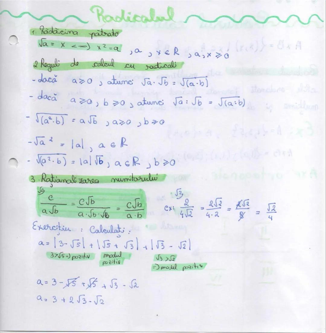 Radicalul Evaluare Națională