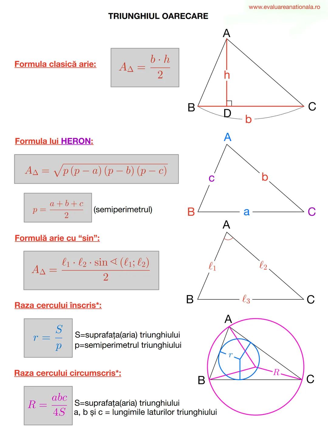 LINII IMPORTANTE ÎN TRIUNGHI
www.evaluareanationala.ro
I. BISECTOAREA
Def.
Se numeşte BISECTOARE acea semidreaptă care împarte unghiul în