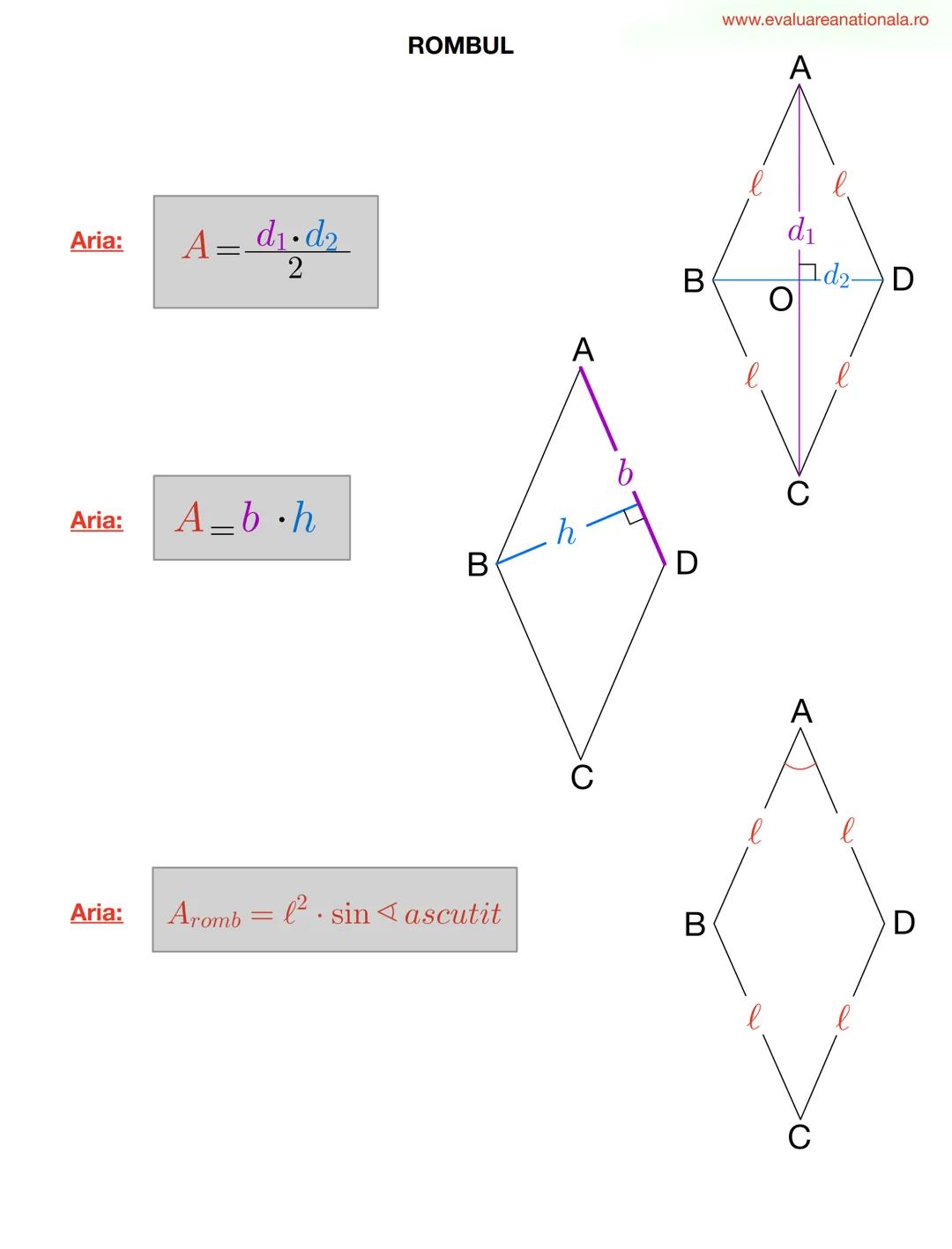 LINII IMPORTANTE ÎN TRIUNGHI
www.evaluareanationala.ro
I. BISECTOAREA
Def.
Se numeşte BISECTOARE acea semidreaptă care împarte unghiul în