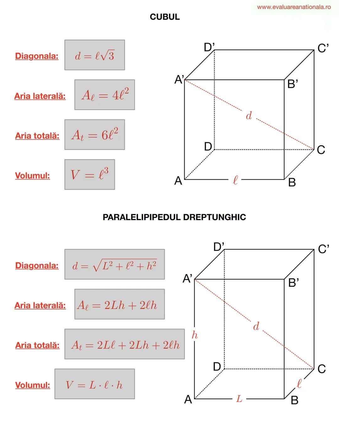 LINII IMPORTANTE ÎN TRIUNGHI
www.evaluareanationala.ro
I. BISECTOAREA
Def.
Se numeşte BISECTOARE acea semidreaptă care împarte unghiul în