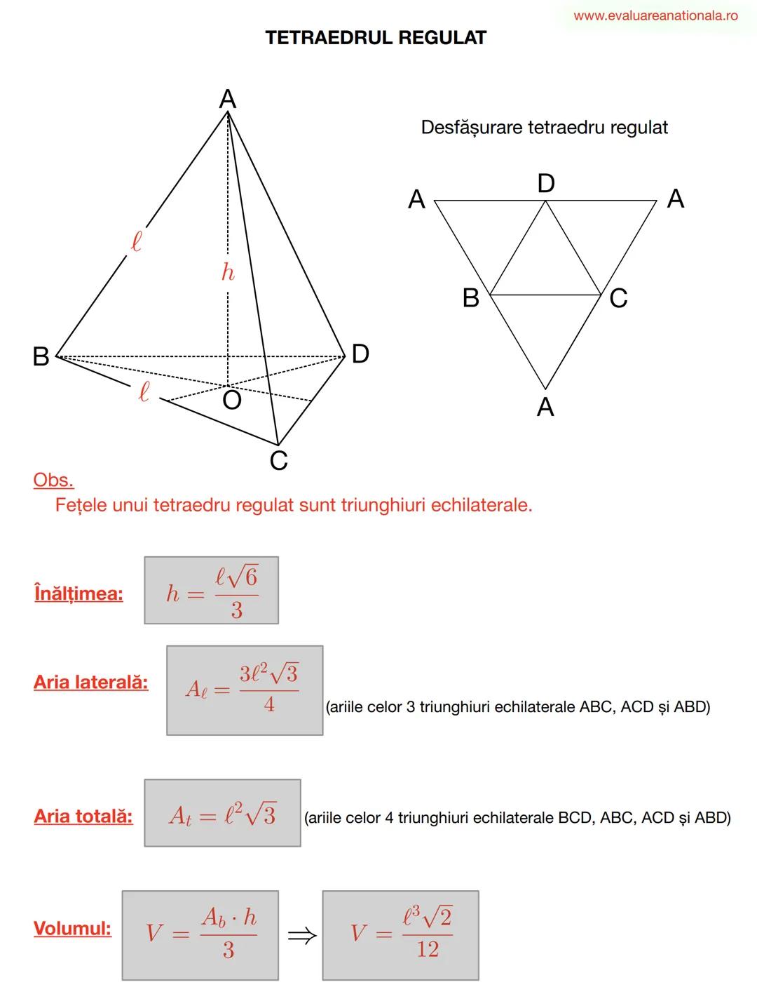 LINII IMPORTANTE ÎN TRIUNGHI
www.evaluareanationala.ro
I. BISECTOAREA
Def.
Se numeşte BISECTOARE acea semidreaptă care împarte unghiul în