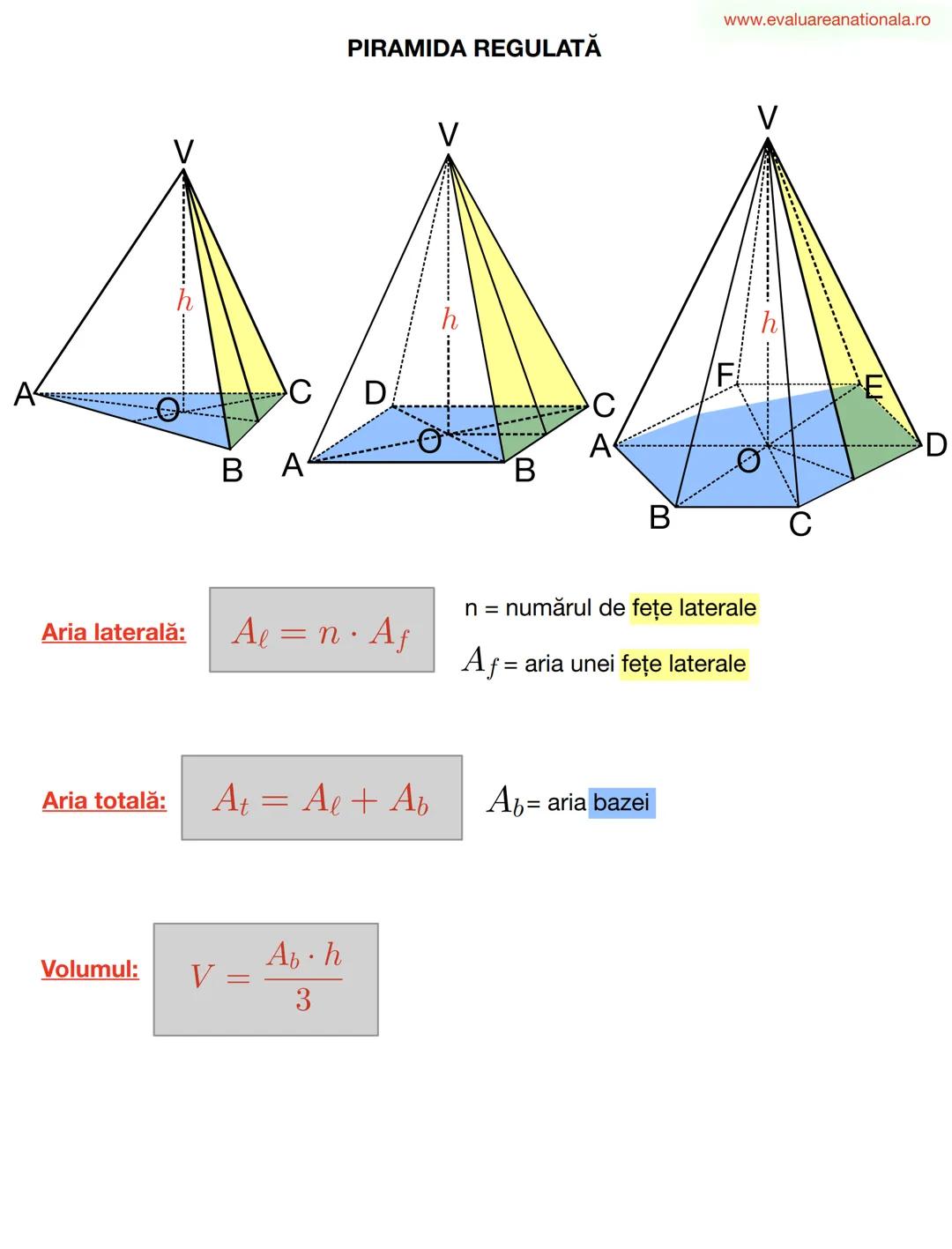 LINII IMPORTANTE ÎN TRIUNGHI
www.evaluareanationala.ro
I. BISECTOAREA
Def.
Se numeşte BISECTOARE acea semidreaptă care împarte unghiul în