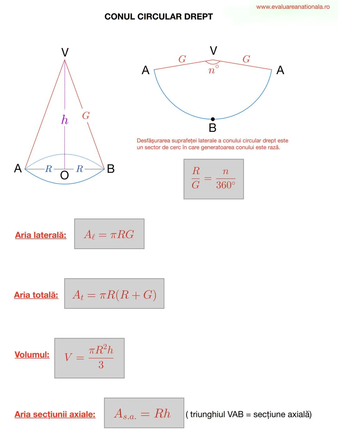 LINII IMPORTANTE ÎN TRIUNGHI
www.evaluareanationala.ro
I. BISECTOAREA
Def.
Se numeşte BISECTOARE acea semidreaptă care împarte unghiul în
