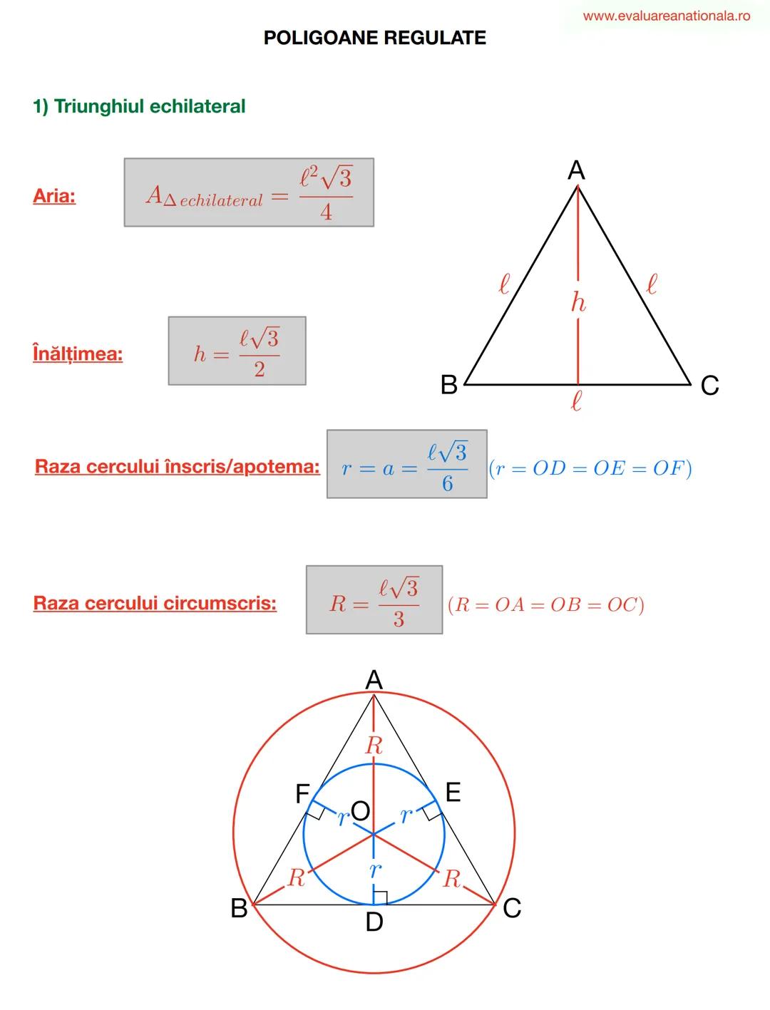 LINII IMPORTANTE ÎN TRIUNGHI
www.evaluareanationala.ro
I. BISECTOAREA
Def.
Se numeşte BISECTOARE acea semidreaptă care împarte unghiul în