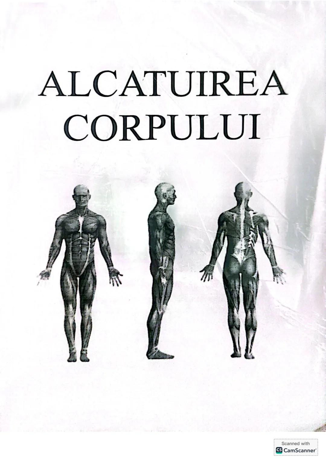 # ALCATUIREA
# CORPULUI # ALCĂTUIREA CORPULUI UMAN
• TOPOGRAFIA ORGANELOR ŞI SISTEMELOR DE ORGANE
- topografie = localizare
în corpul omen
