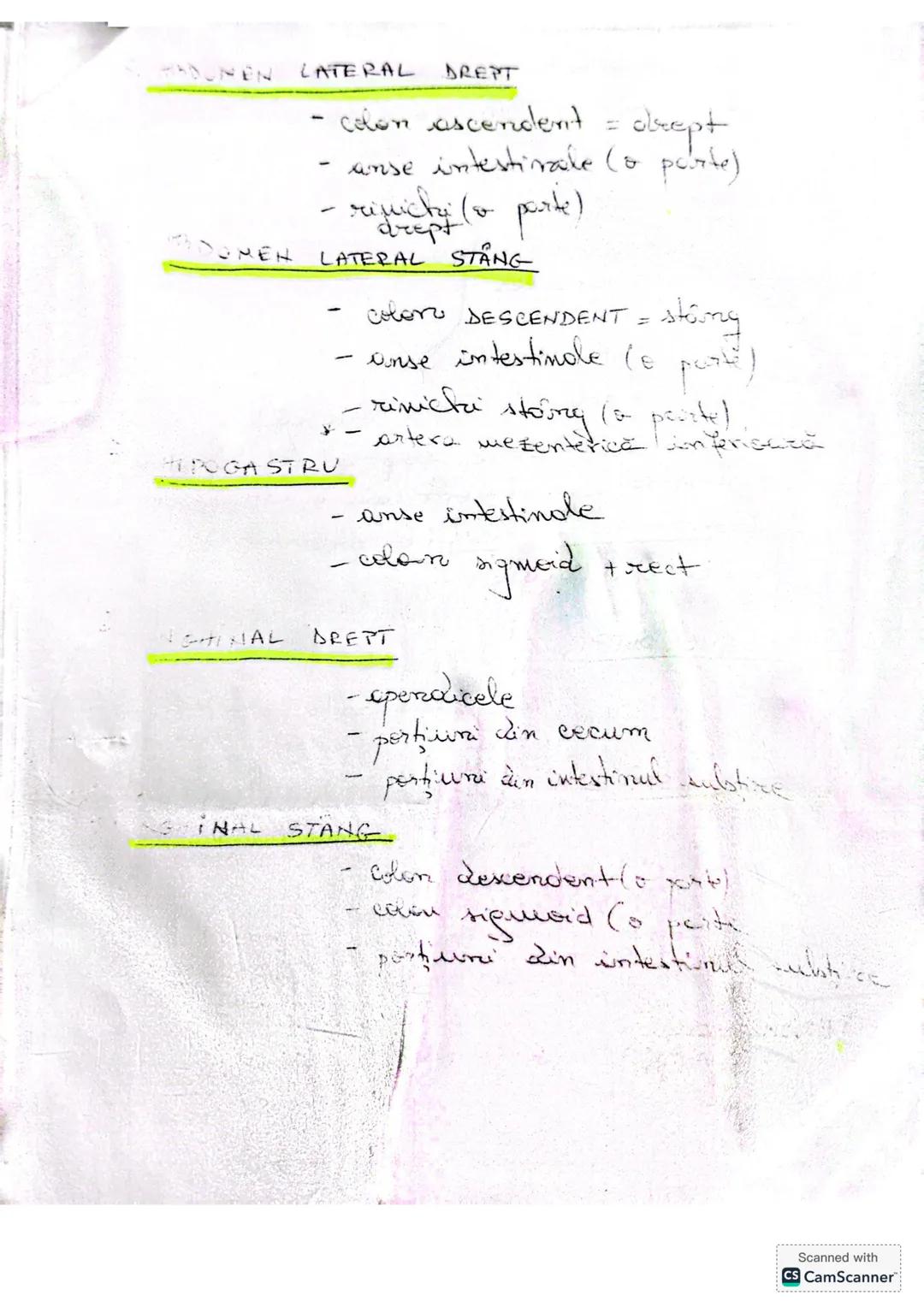 # ALCATUIREA
# CORPULUI # ALCĂTUIREA CORPULUI UMAN
• TOPOGRAFIA ORGANELOR ŞI SISTEMELOR DE ORGANE
- topografie = localizare
în corpul omen