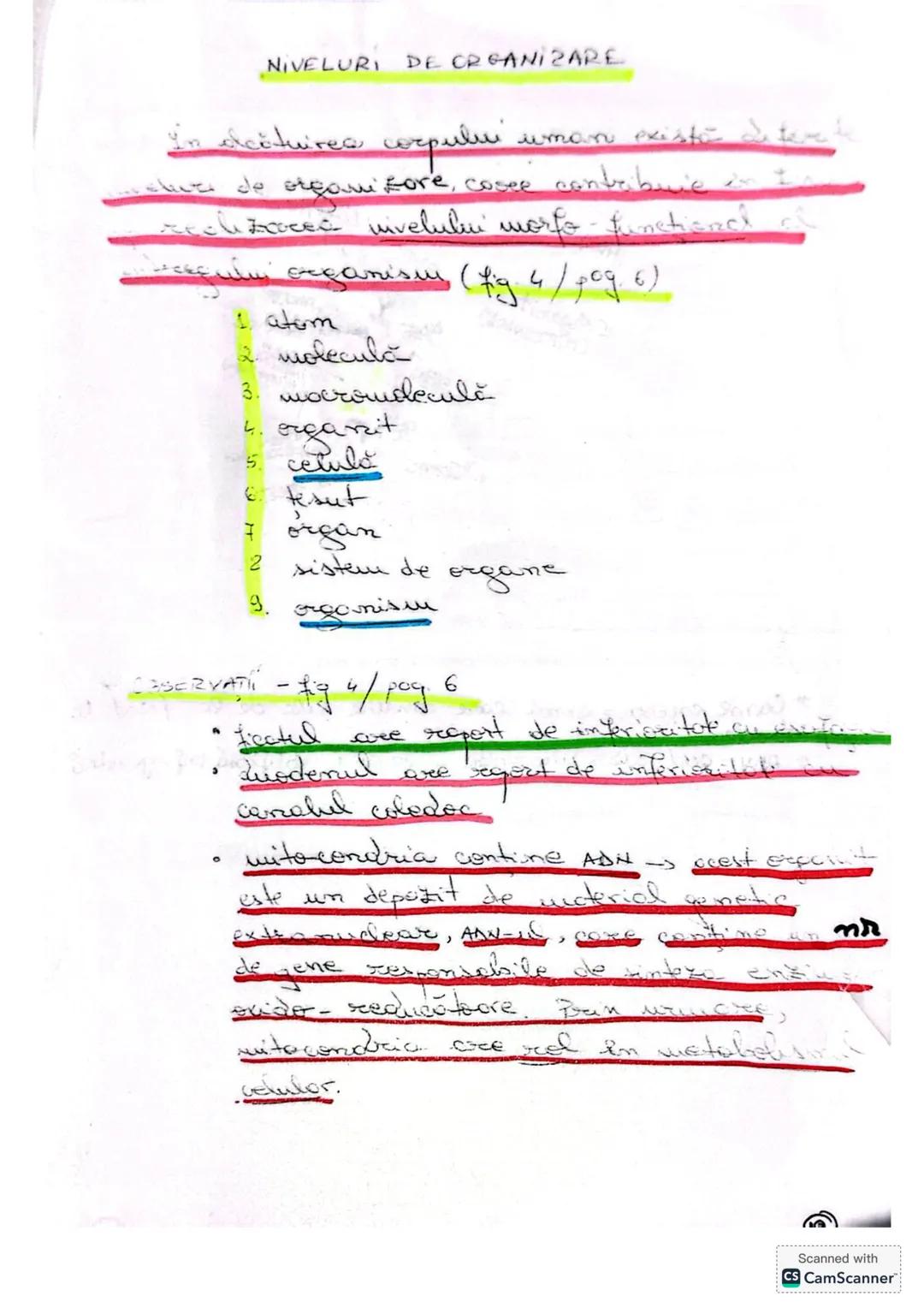 # ALCATUIREA
# CORPULUI # ALCĂTUIREA CORPULUI UMAN
• TOPOGRAFIA ORGANELOR ŞI SISTEMELOR DE ORGANE
- topografie = localizare
în corpul omen