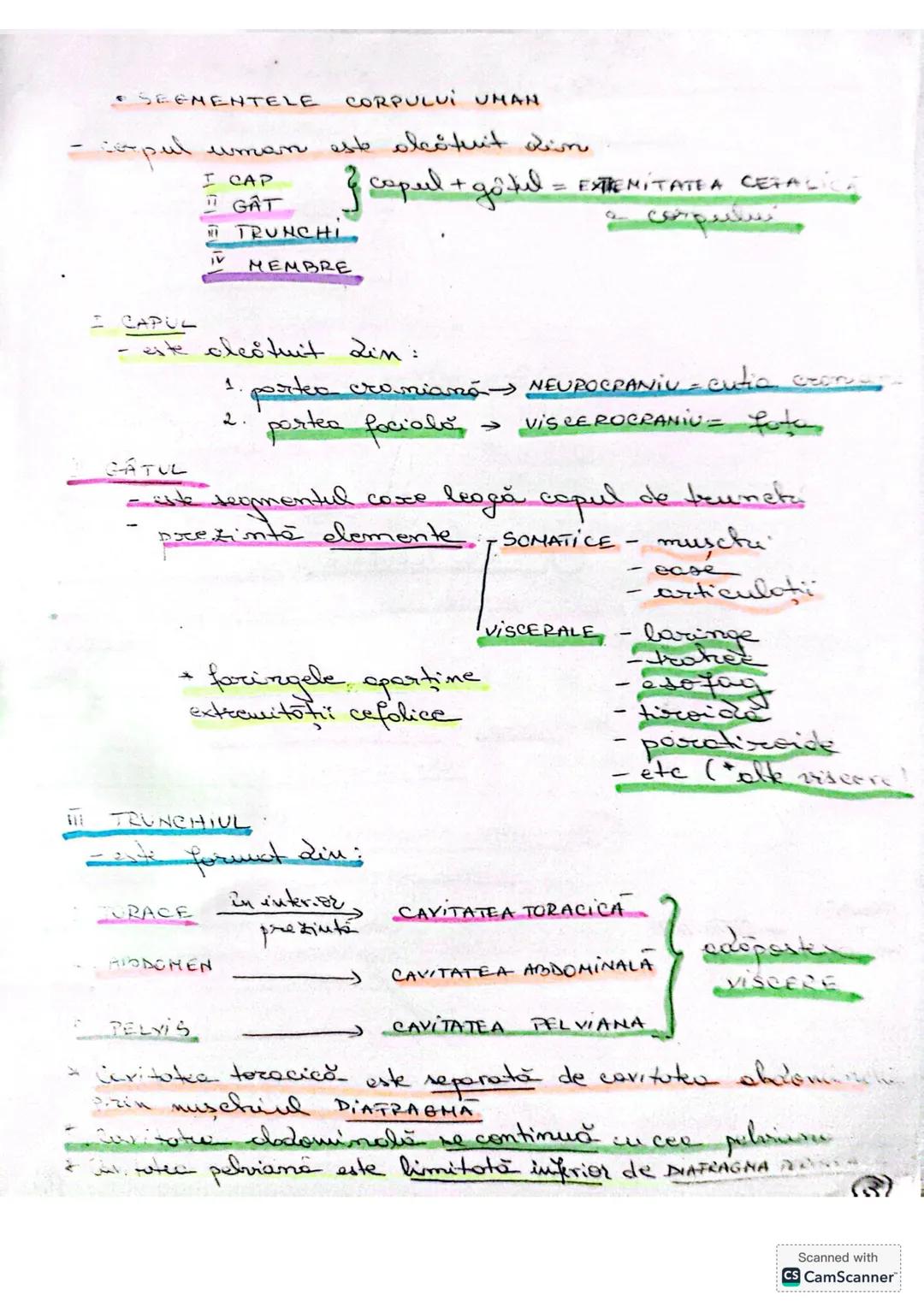 # ALCATUIREA
# CORPULUI # ALCĂTUIREA CORPULUI UMAN
• TOPOGRAFIA ORGANELOR ŞI SISTEMELOR DE ORGANE
- topografie = localizare
în corpul omen