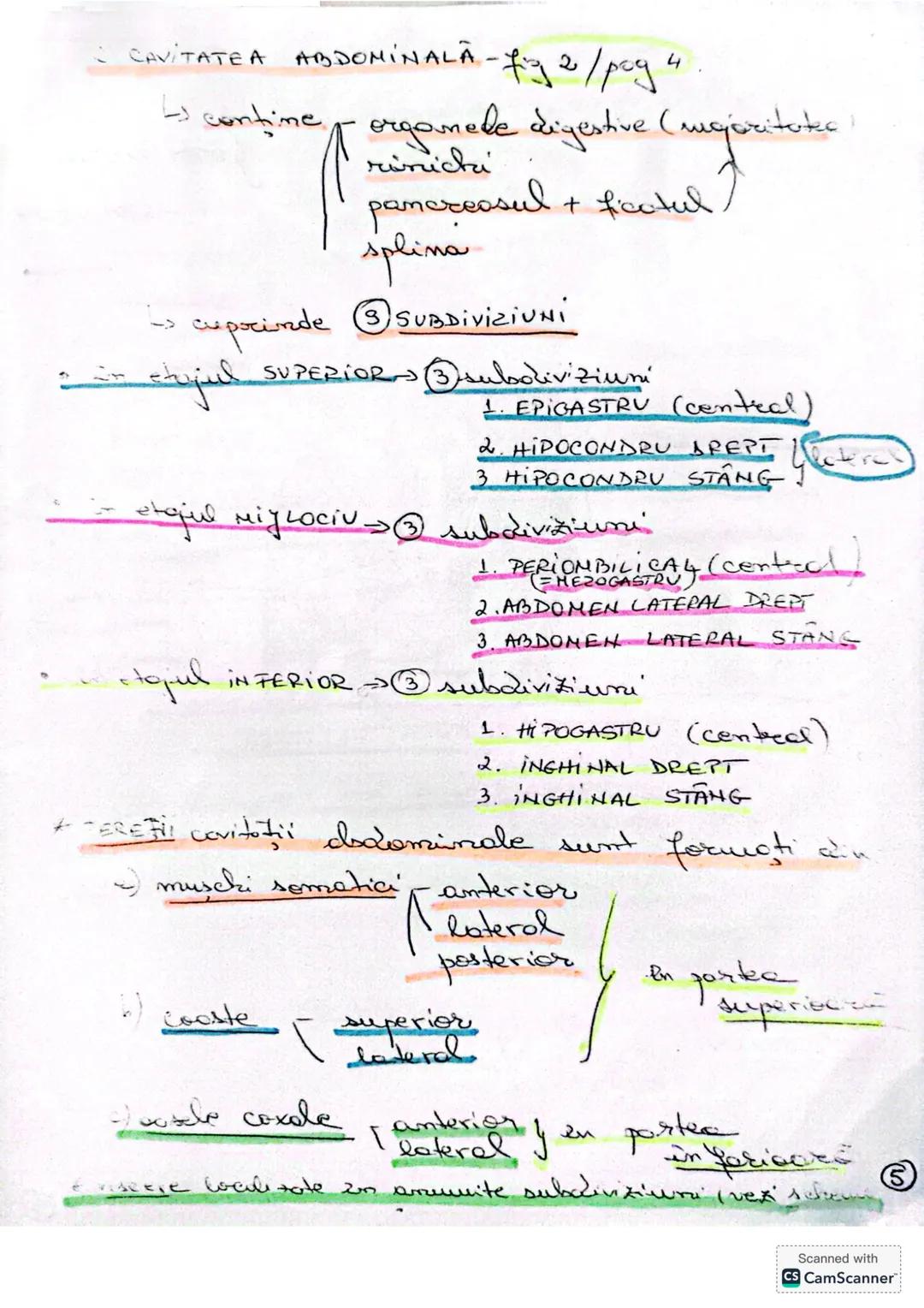 # ALCATUIREA
# CORPULUI # ALCĂTUIREA CORPULUI UMAN
• TOPOGRAFIA ORGANELOR ŞI SISTEMELOR DE ORGANE
- topografie = localizare
în corpul omen