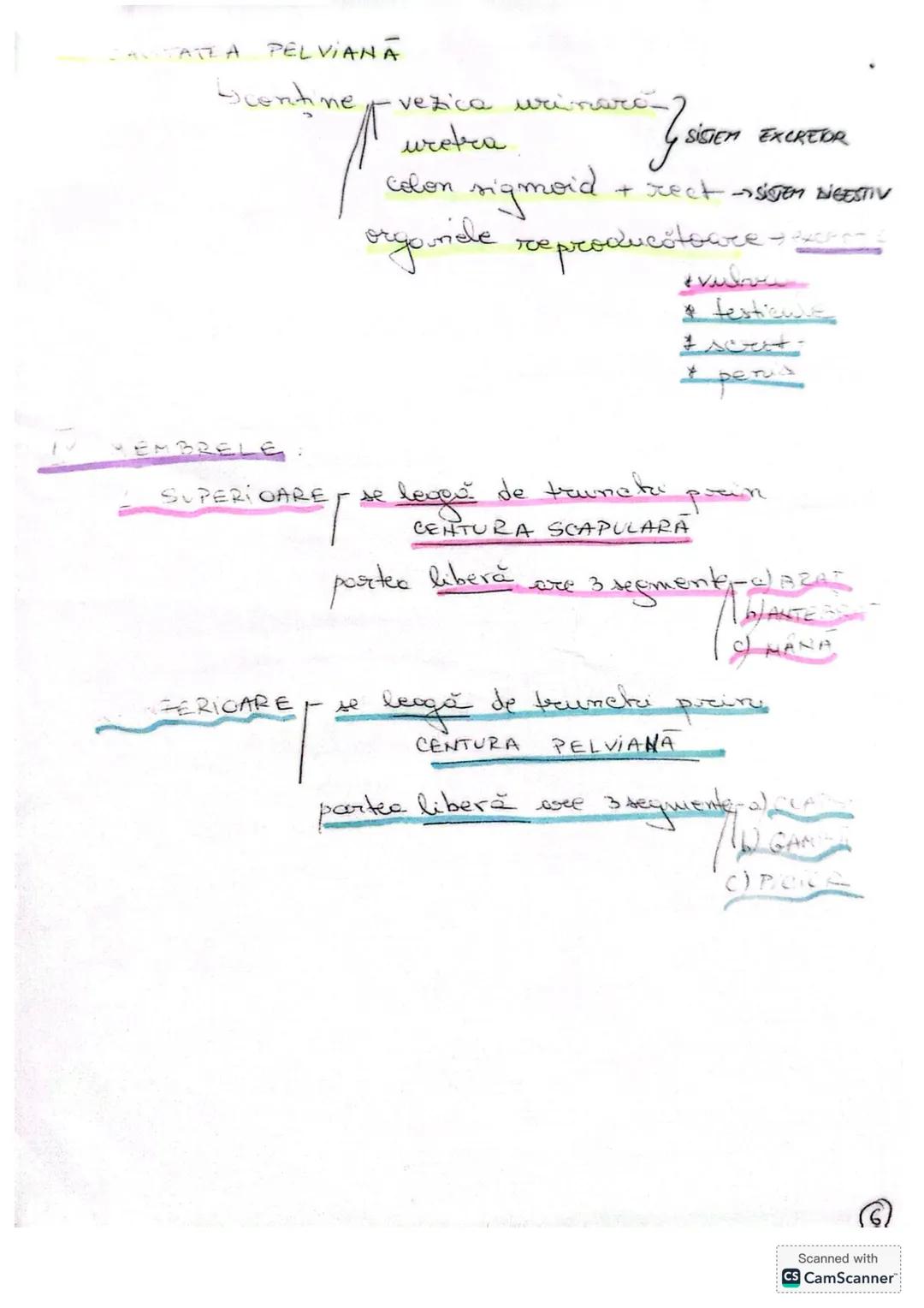 # ALCATUIREA
# CORPULUI # ALCĂTUIREA CORPULUI UMAN
• TOPOGRAFIA ORGANELOR ŞI SISTEMELOR DE ORGANE
- topografie = localizare
în corpul omen
