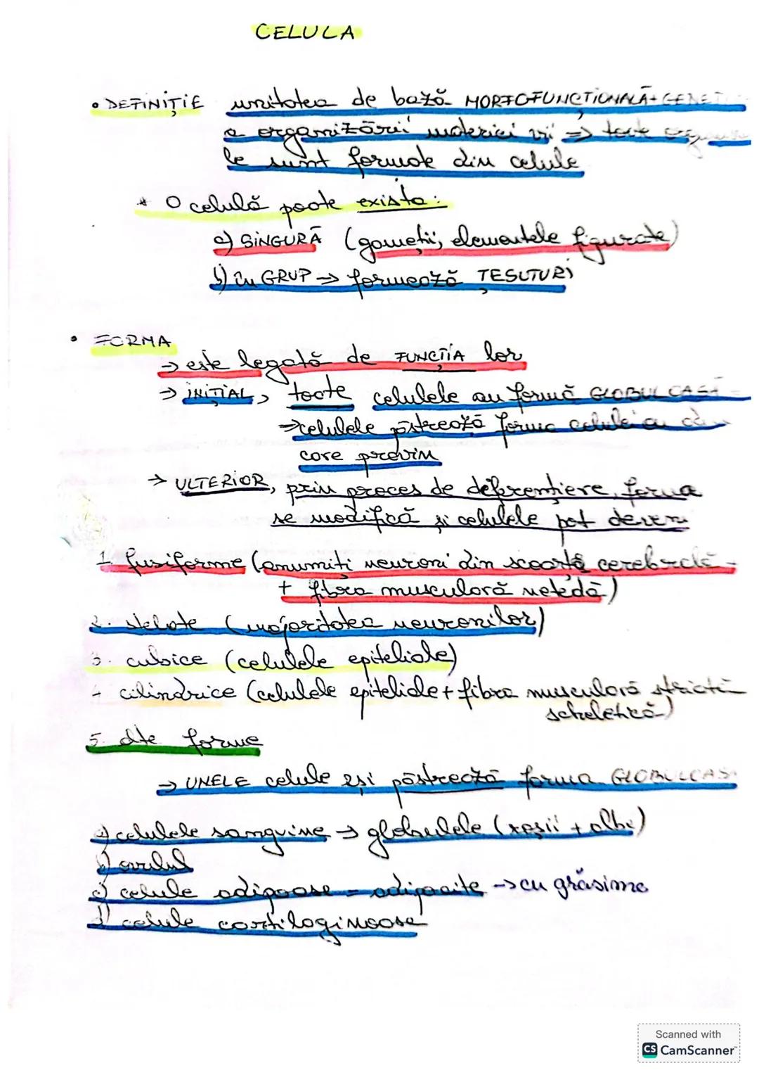 --- OCR Start ---
CELULA
• DEFINIŢIE unitatea de bază MORIOFUNCTIONALACERET
a organizöri moderici v tore
le sunt forme din celule
* O celulă