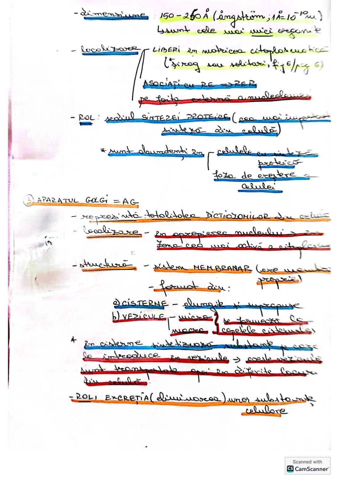 --- OCR Start ---
CELULA
• DEFINIŢIE unitatea de bază MORIOFUNCTIONALACERET
a organizöri moderici v tore
le sunt forme din celule
* O celulă