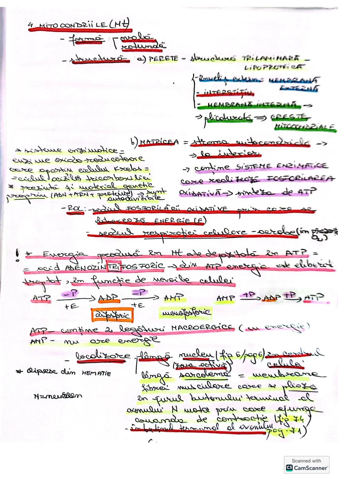 --- OCR Start ---
CELULA
• DEFINIŢIE unitatea de bază MORIOFUNCTIONALACERET
a organizöri moderici v tore
le sunt forme din celule
* O celulă