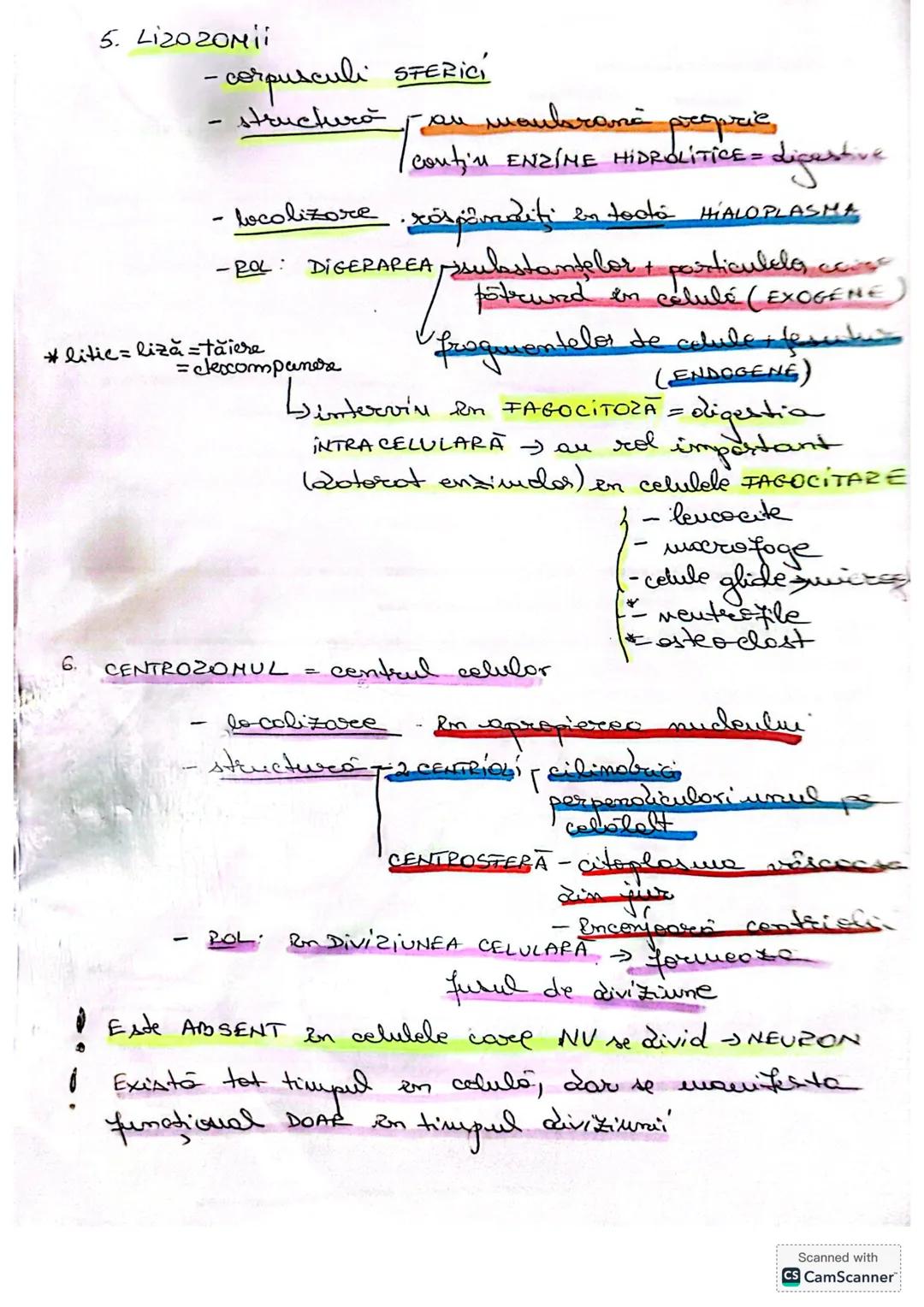--- OCR Start ---
CELULA
• DEFINIŢIE unitatea de bază MORIOFUNCTIONALACERET
a organizöri moderici v tore
le sunt forme din celule
* O celulă