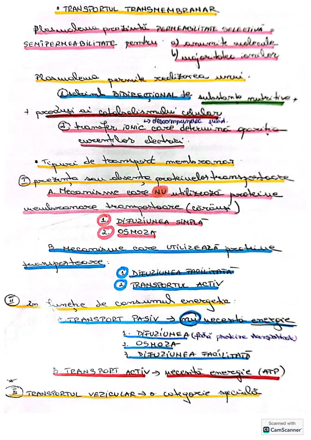 --- OCR Start ---
CELULA
• DEFINIŢIE unitatea de bază MORIOFUNCTIONALACERET
a organizöri moderici v tore
le sunt forme din celule
* O celulă