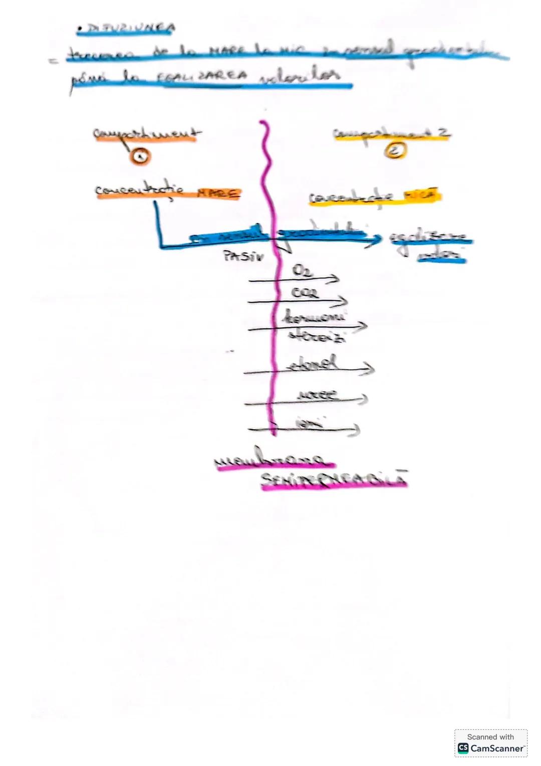 --- OCR Start ---
CELULA
• DEFINIŢIE unitatea de bază MORIOFUNCTIONALACERET
a organizöri moderici v tore
le sunt forme din celule
* O celulă