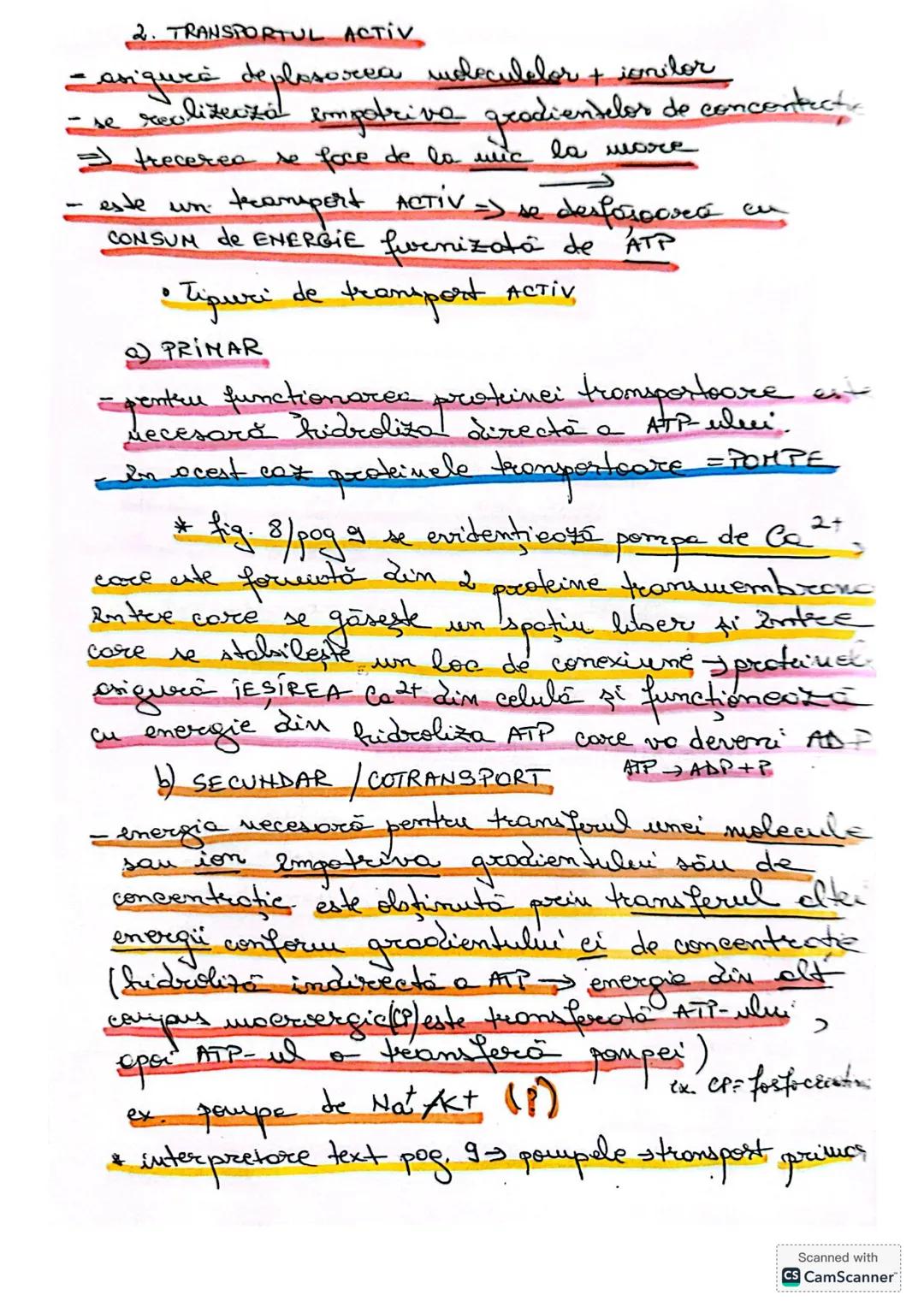 --- OCR Start ---
CELULA
• DEFINIŢIE unitatea de bază MORIOFUNCTIONALACERET
a organizöri moderici v tore
le sunt forme din celule
* O celulă