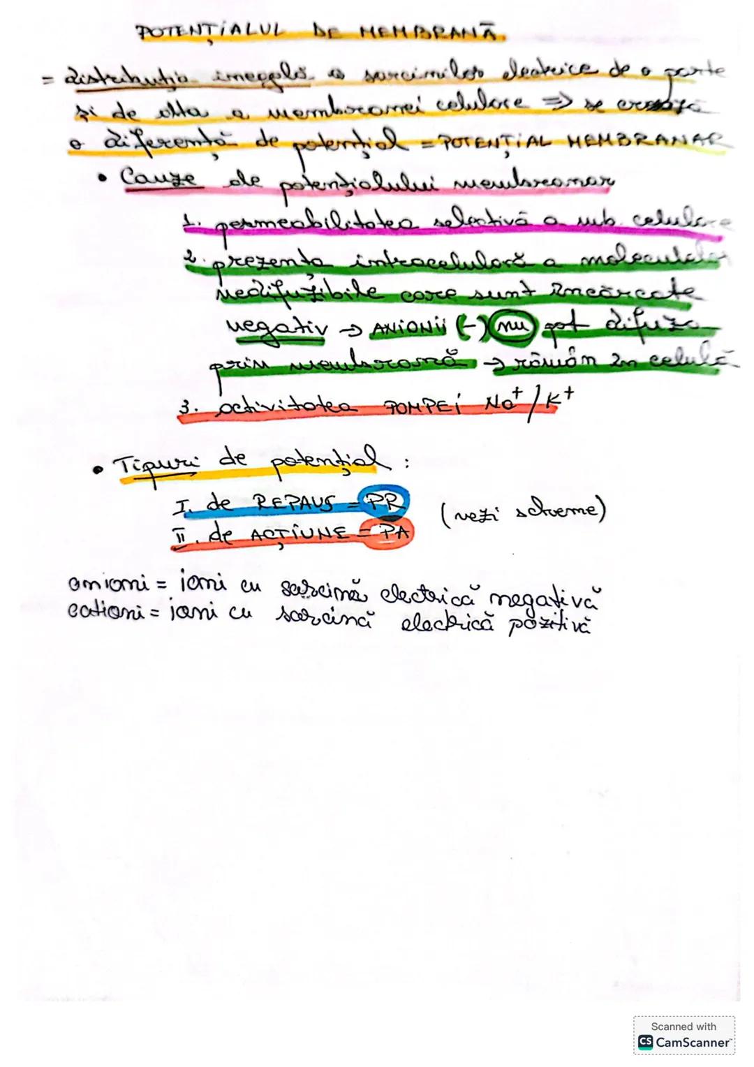 --- OCR Start ---
CELULA
• DEFINIŢIE unitatea de bază MORIOFUNCTIONALACERET
a organizöri moderici v tore
le sunt forme din celule
* O celulă