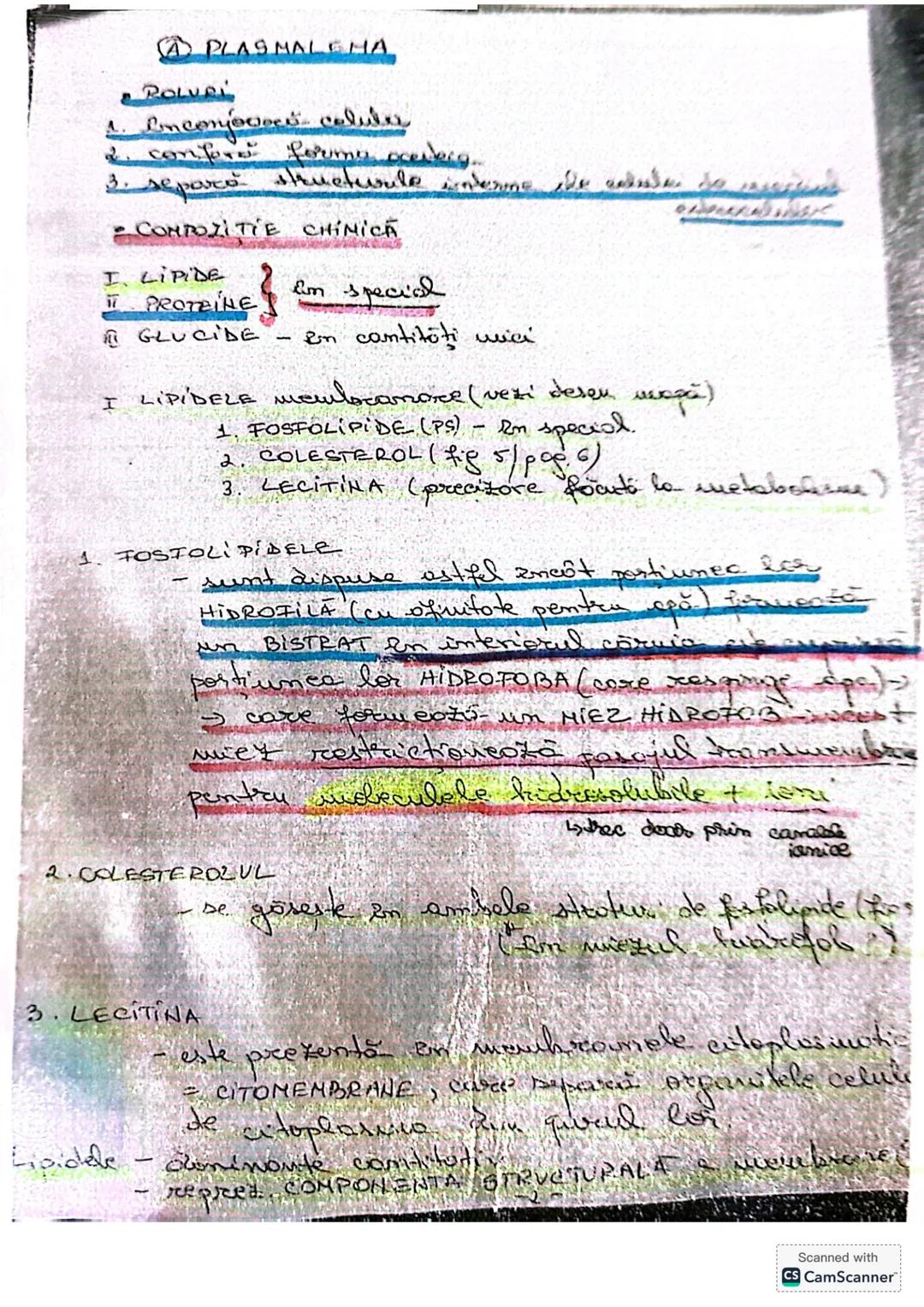 --- OCR Start ---
CELULA
• DEFINIŢIE unitatea de bază MORIOFUNCTIONALACERET
a organizöri moderici v tore
le sunt forme din celule
* O celulă