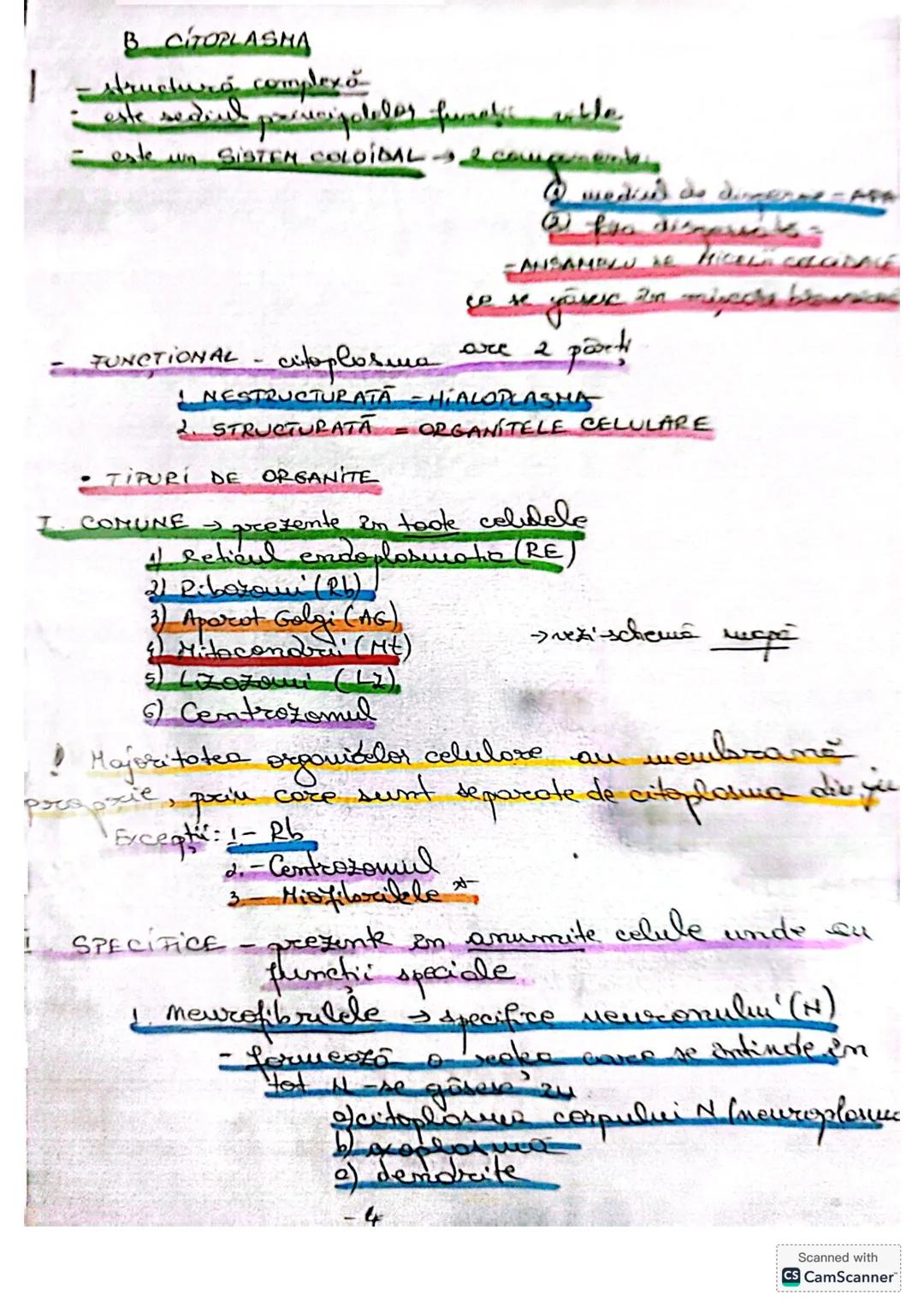--- OCR Start ---
CELULA
• DEFINIŢIE unitatea de bază MORIOFUNCTIONALACERET
a organizöri moderici v tore
le sunt forme din celule
* O celulă