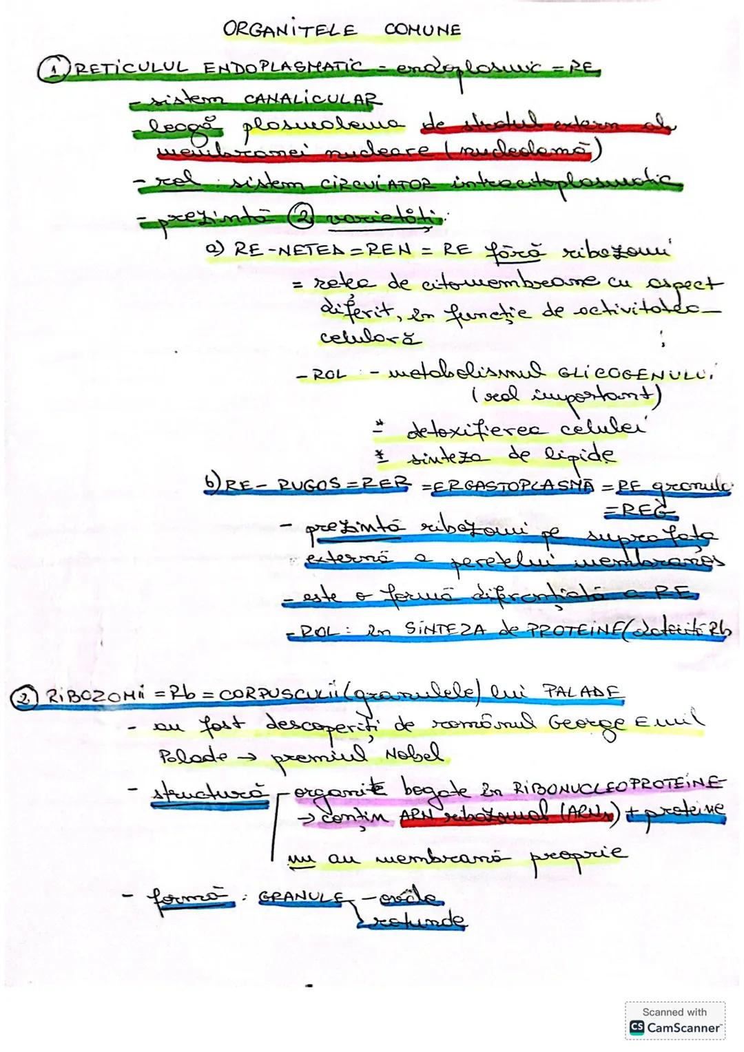 --- OCR Start ---
CELULA
• DEFINIŢIE unitatea de bază MORIOFUNCTIONALACERET
a organizöri moderici v tore
le sunt forme din celule
* O celulă