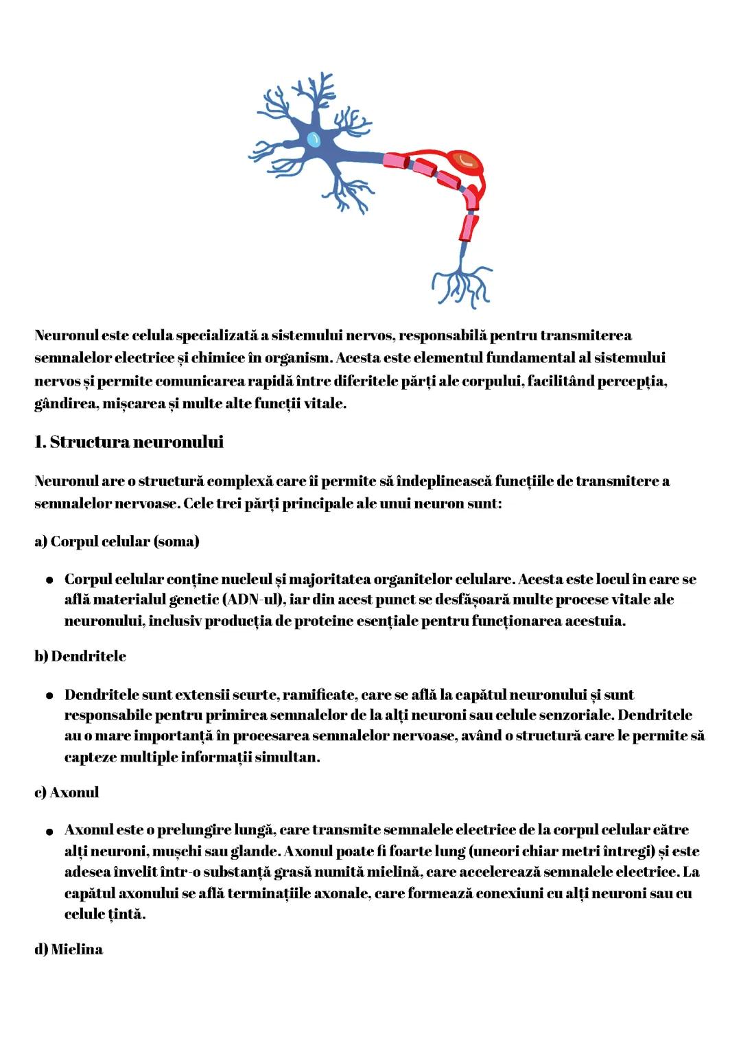 Neuronul
