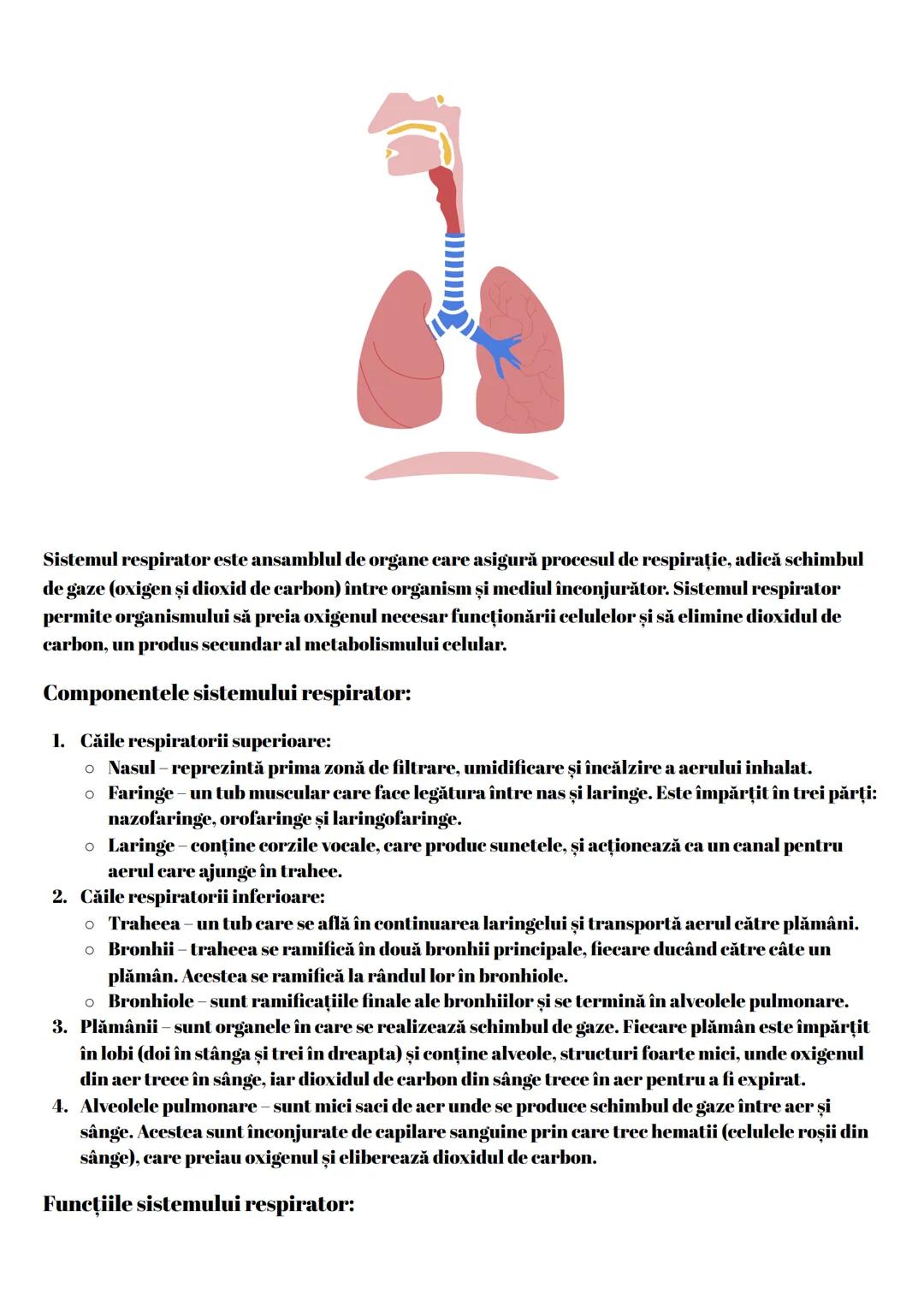 --- OCR Start ---
Sistemul respirator este ansamblul de organe care asigură procesul de respirație, adică schimbul
de gaze (oxigen și dioxid
