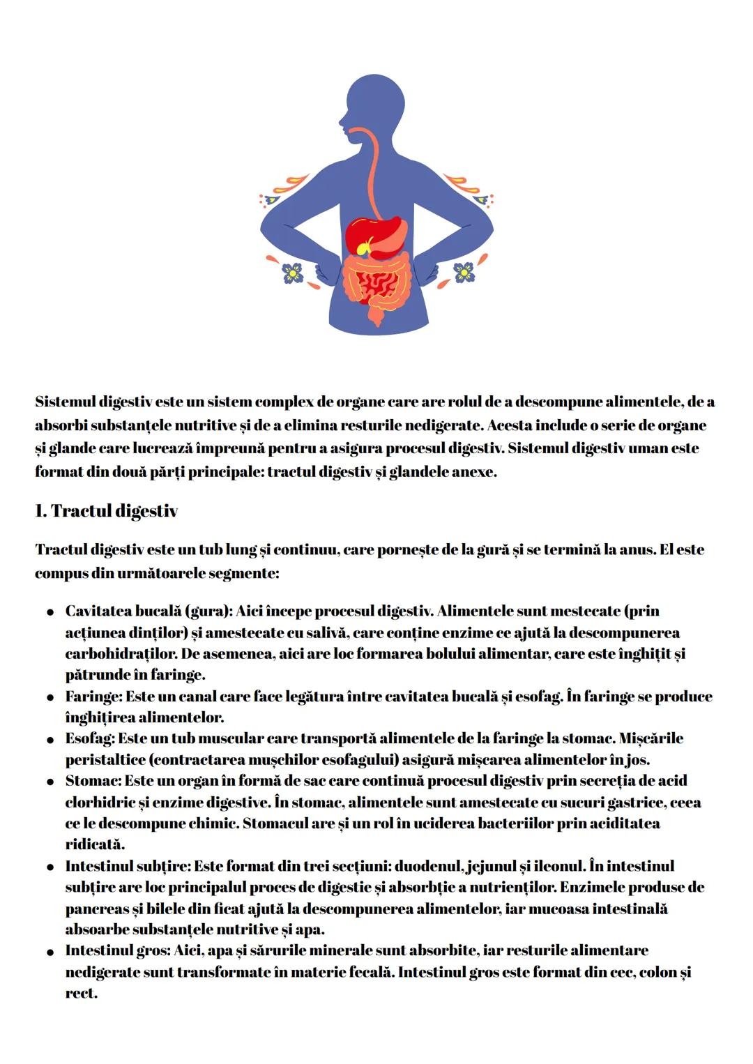 # Sistemul digestiv
Sistemul digestiv este un sistem complex de organe care are rolul de a descompune alimentele, de a
absorbi substanțele n