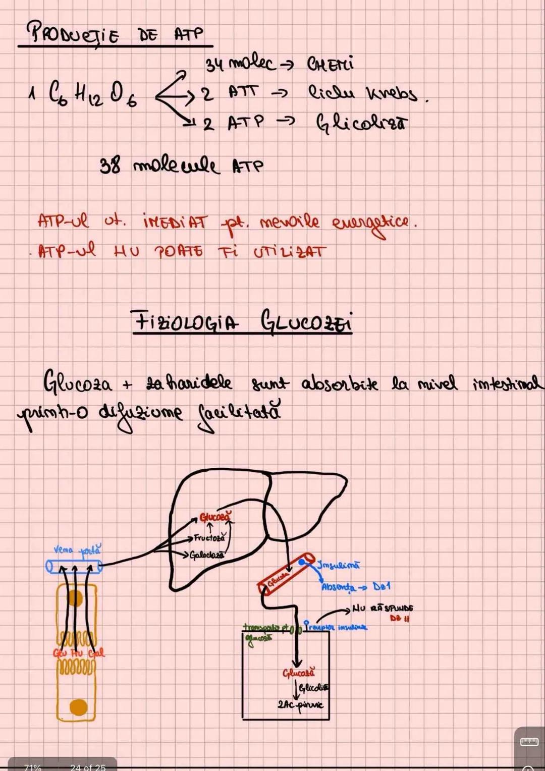 --- OCR Start ---
Capitolul ca
METABOLISMUL
Toate reactüle catabolice au acelasi scop:
→ produc ATP
→ eliberează ATP-ul dim r. endergomice.
