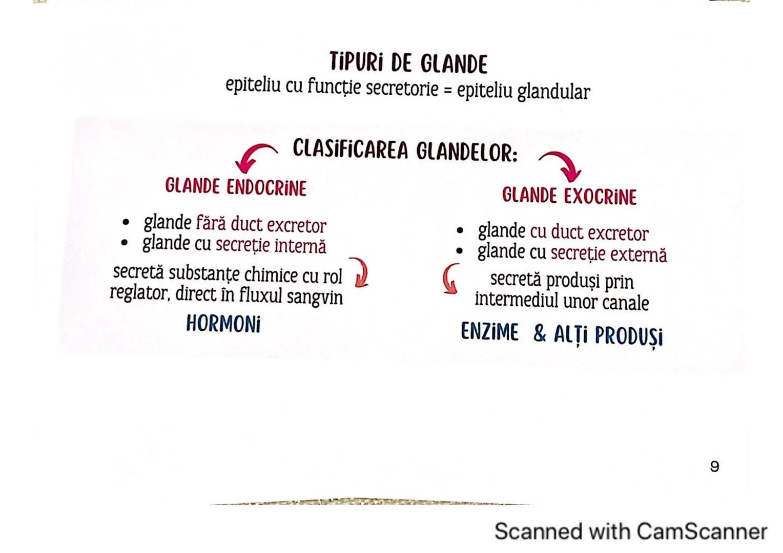 # MEDICINIST
# ȚESUTURILE
Scanned with CamScanner --- OCR Start ---
ȚESUTUL EPITELIAL
• acoperă suprafața corpului
căptușește cavități
une