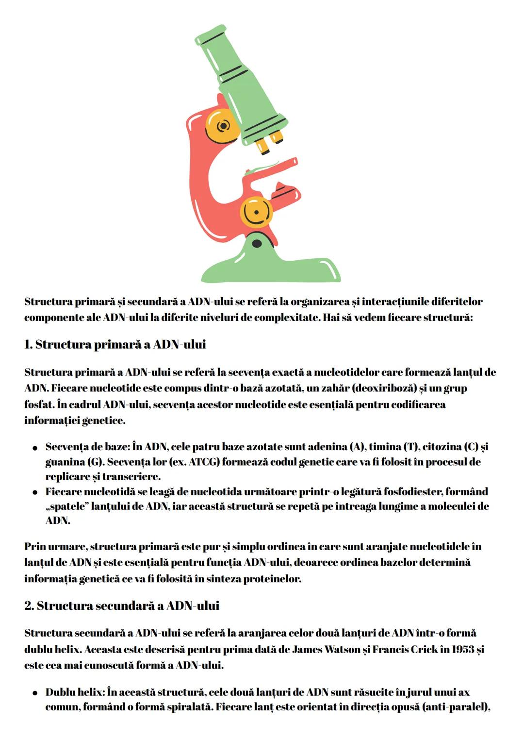 Structura primară și secundară a ADN-ului se referă la organizarea și interacțiunile diferitelor
componente ale ADN-ului la diferite nivelur