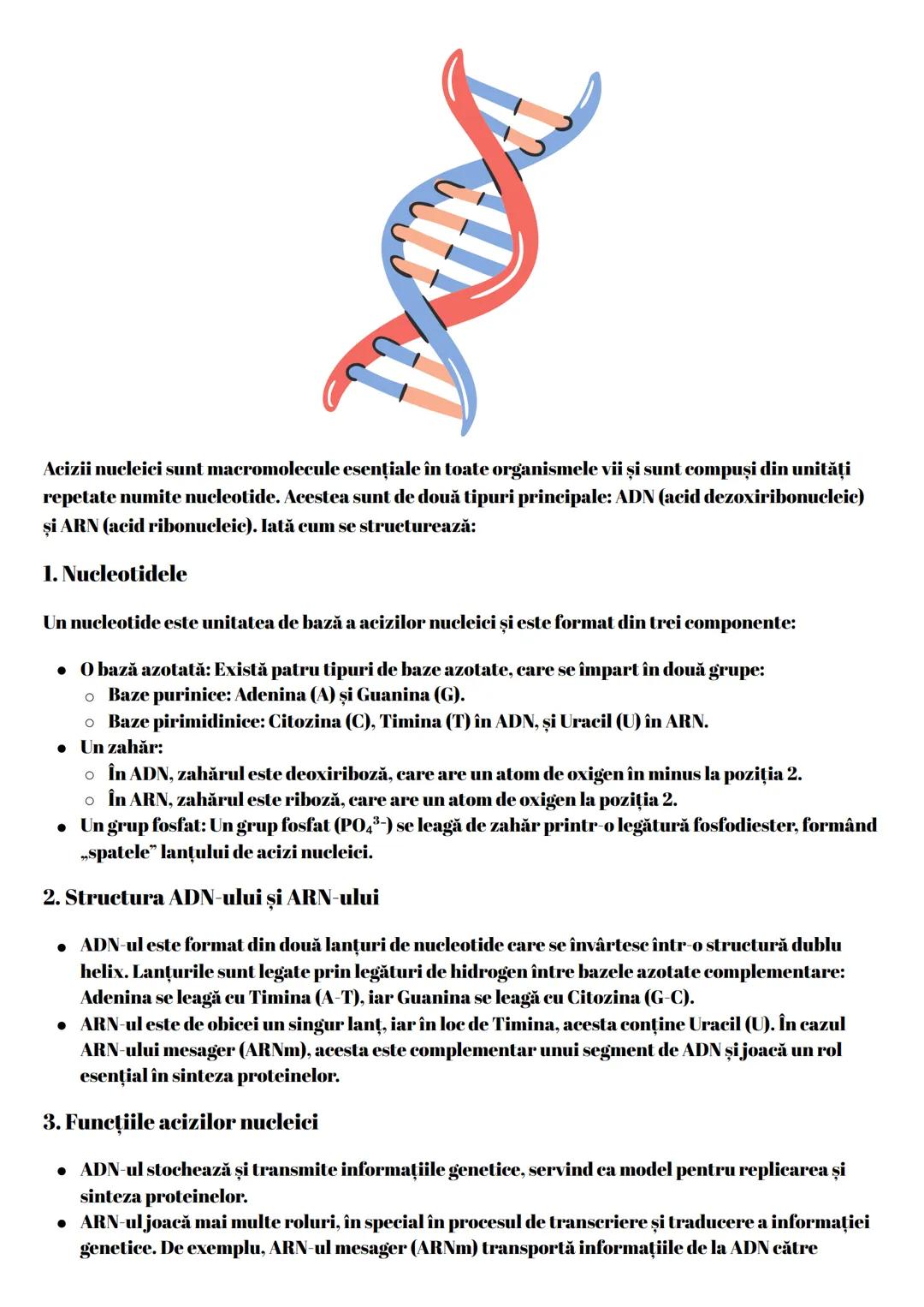ribozomi, unde se sintetizează proteinele.
Aceste structuri și funcții sunt fundamentale pentru procesul biologic al vieții, iar diversitate