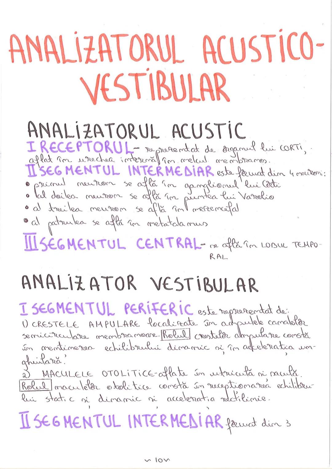 # SEGMENTELE CORPULUÍ
# UMAN
ICAP- alcătuit dim NEUROCRANIU
IVISCEROCRAN
VISCEROCRANIU
IIGAT
III TRUNCHI format din poTORACE sunt cxpati