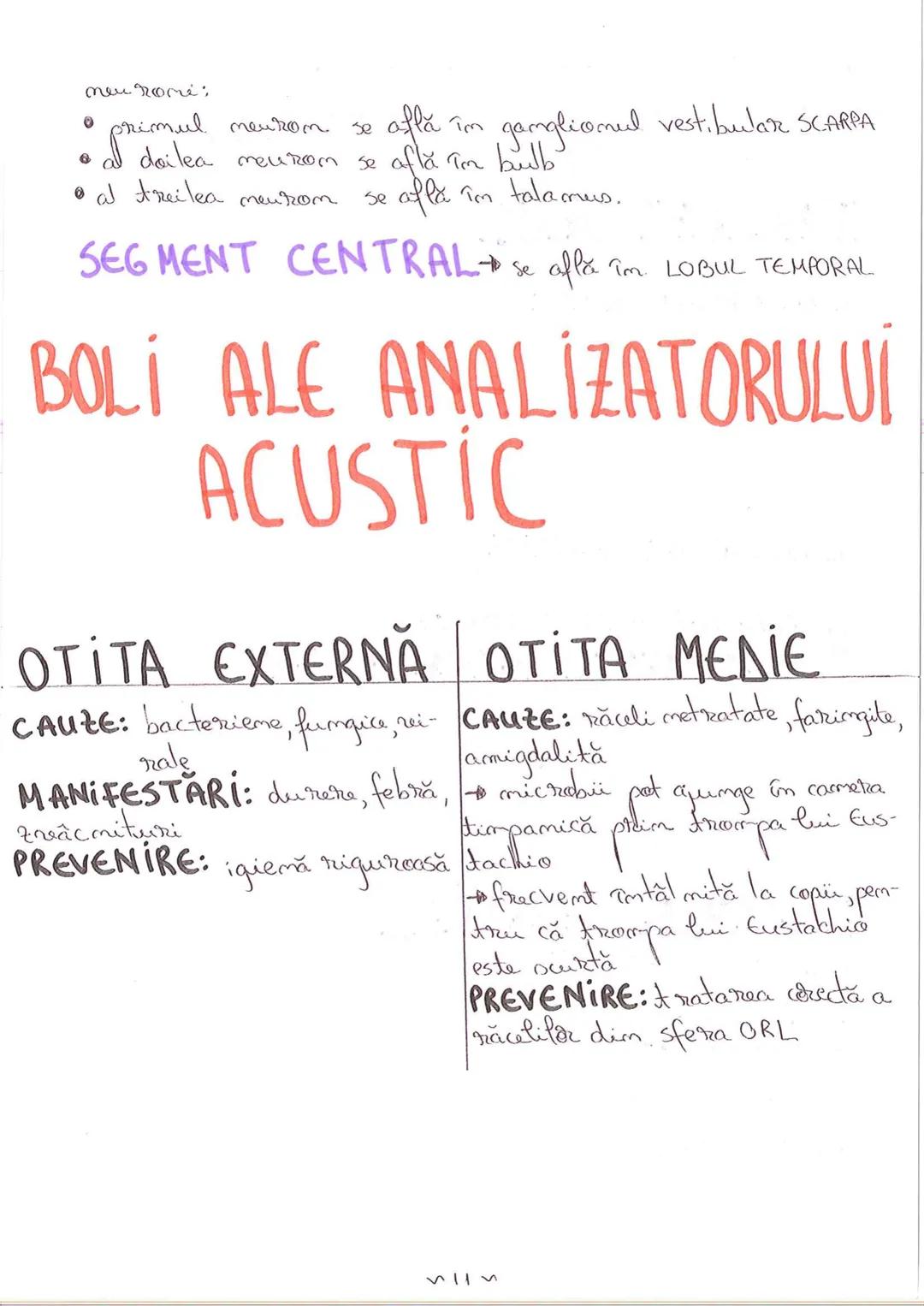 # SEGMENTELE CORPULUÍ
# UMAN
ICAP- alcătuit dim NEUROCRANIU
IVISCEROCRAN
VISCEROCRANIU
IIGAT
III TRUNCHI format din poTORACE sunt cxpati