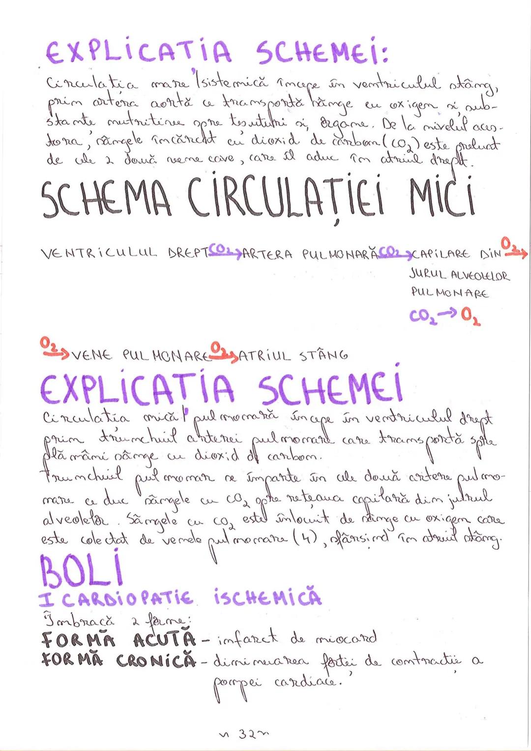 # SEGMENTELE CORPULUÍ
# UMAN
ICAP- alcătuit dim NEUROCRANIU
IVISCEROCRAN
VISCEROCRANIU
IIGAT
III TRUNCHI format din poTORACE sunt cxpati